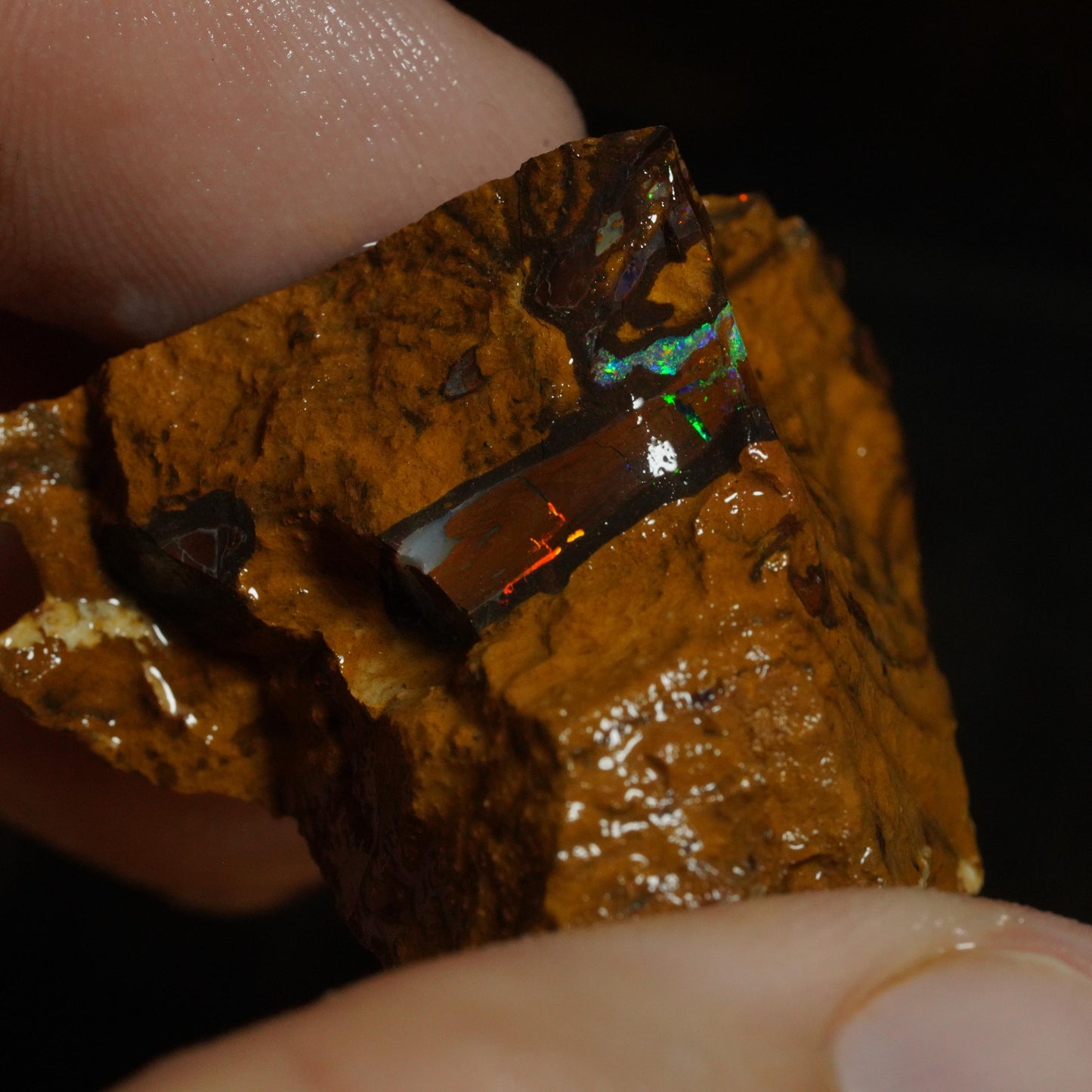 Rough Boulder Opal