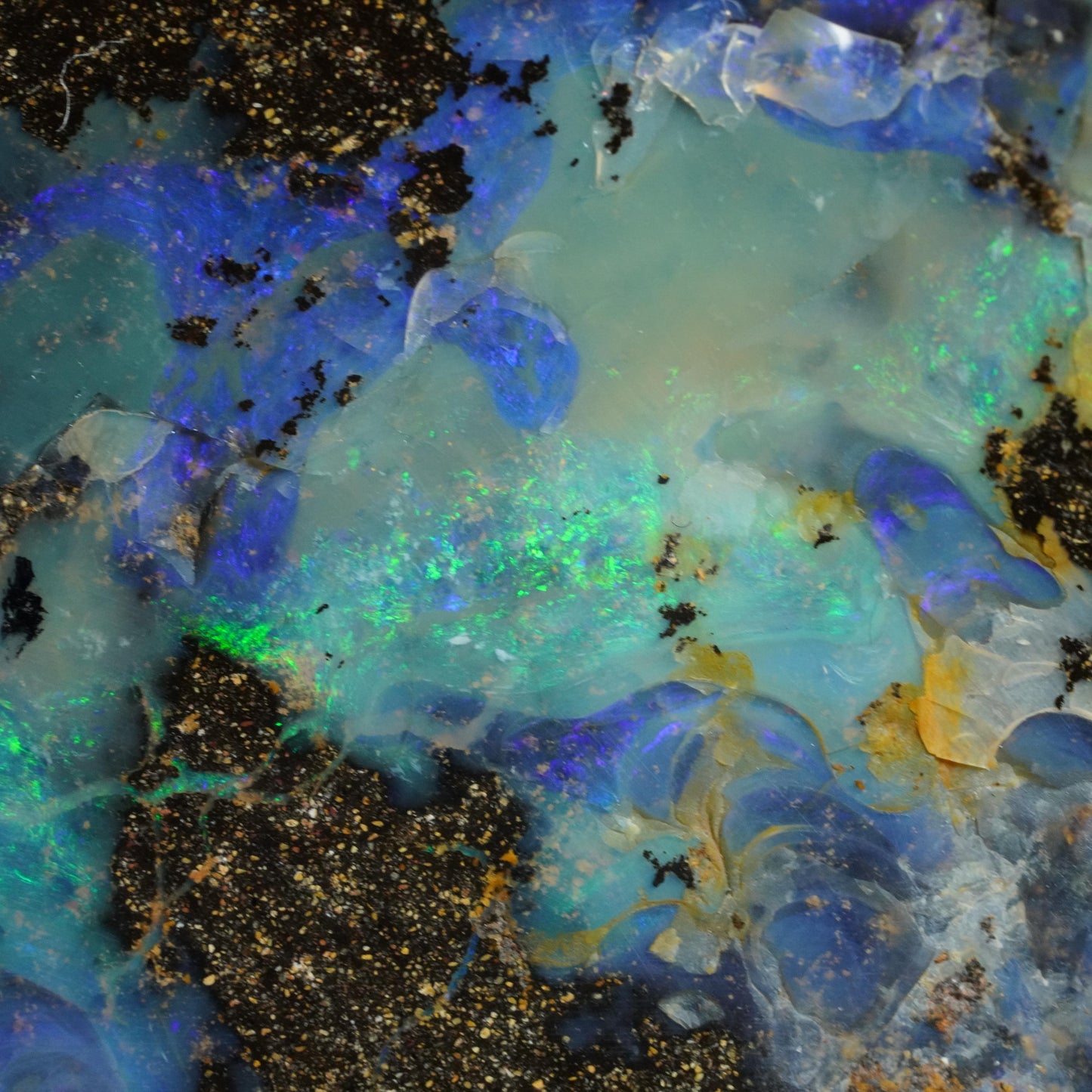 Boulder Opal Cut Stone / Specimen