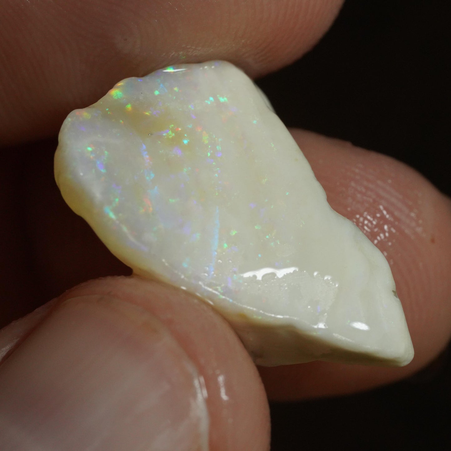 Australian Rough Opal