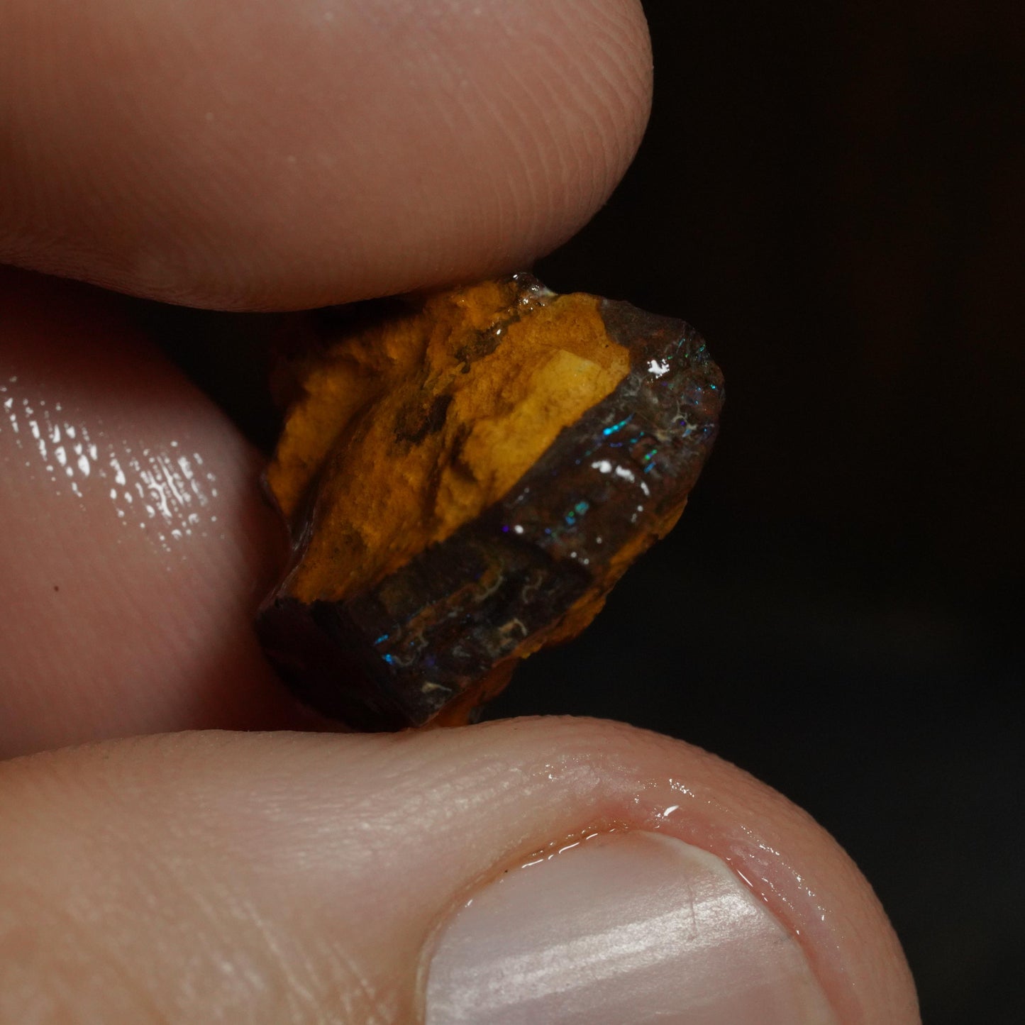 Rough Boulder Opal
