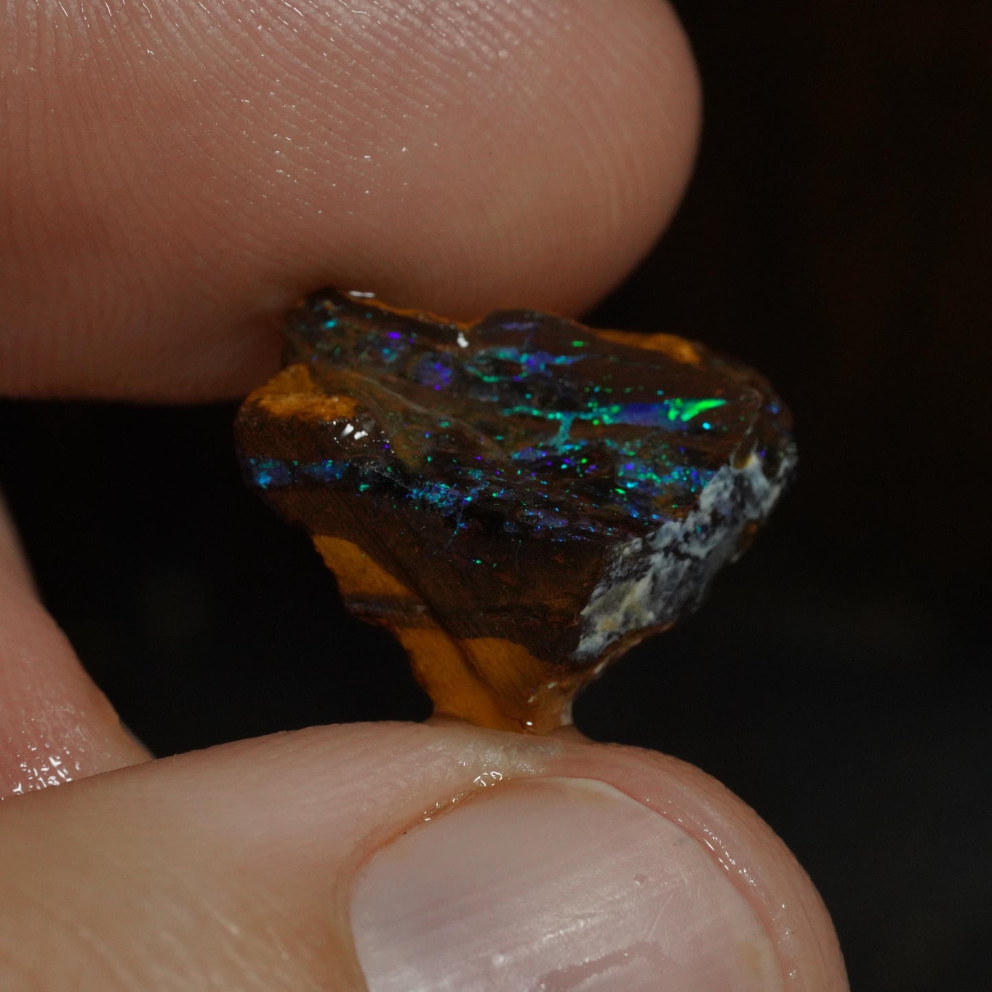 Rough Boulder Opal