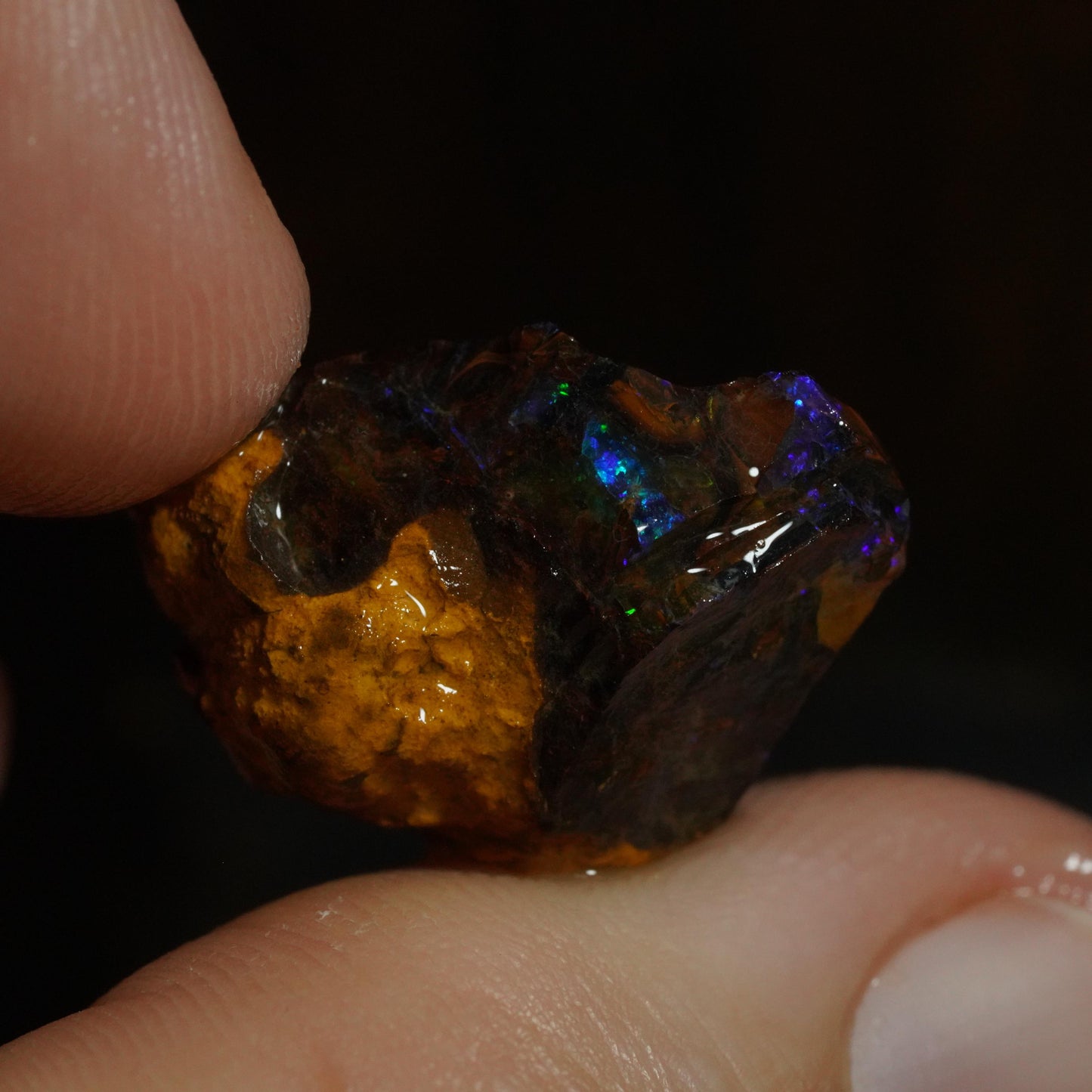 Rough Boulder Opal