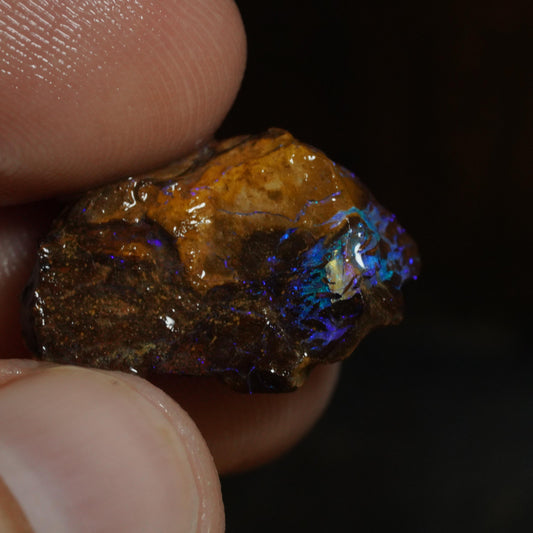Rough Boulder Opal