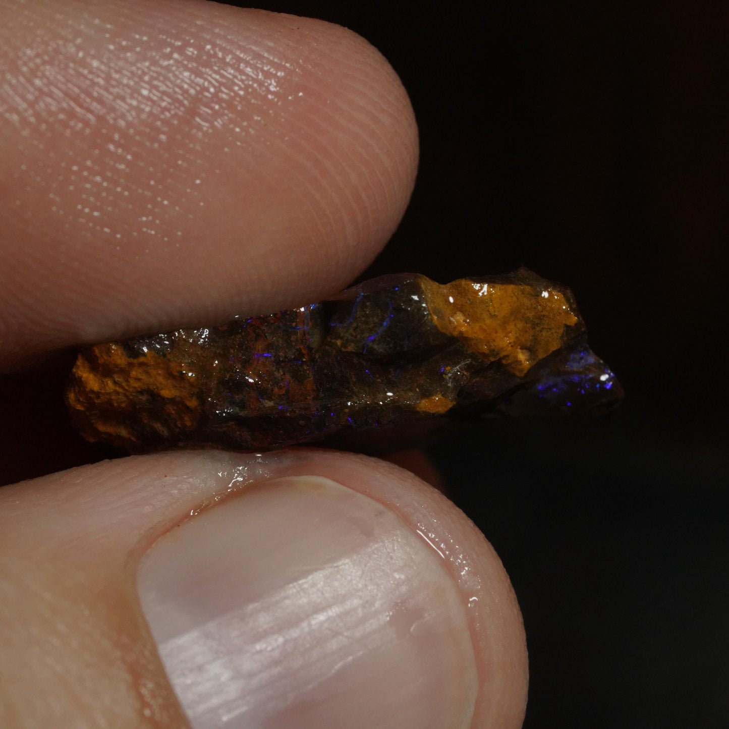 Rough Boulder Opal
