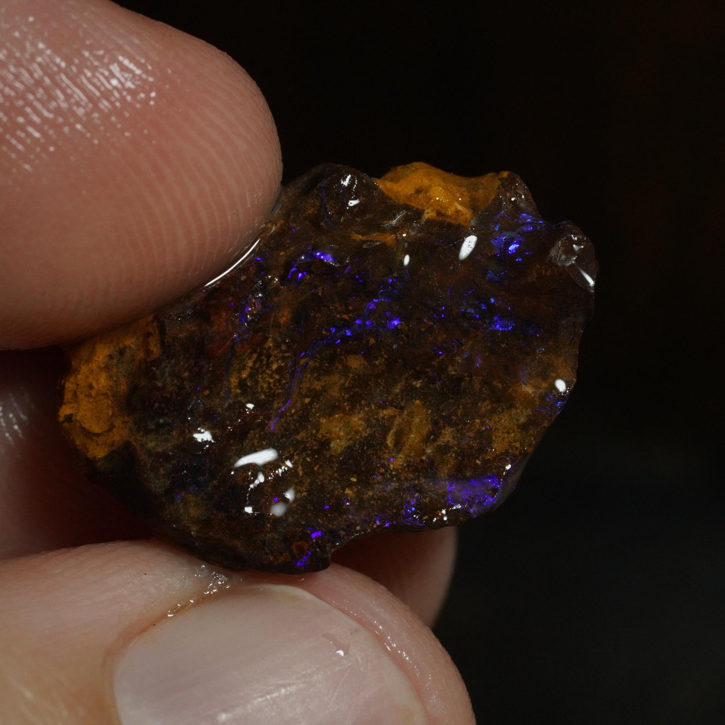 Rough Boulder Opal