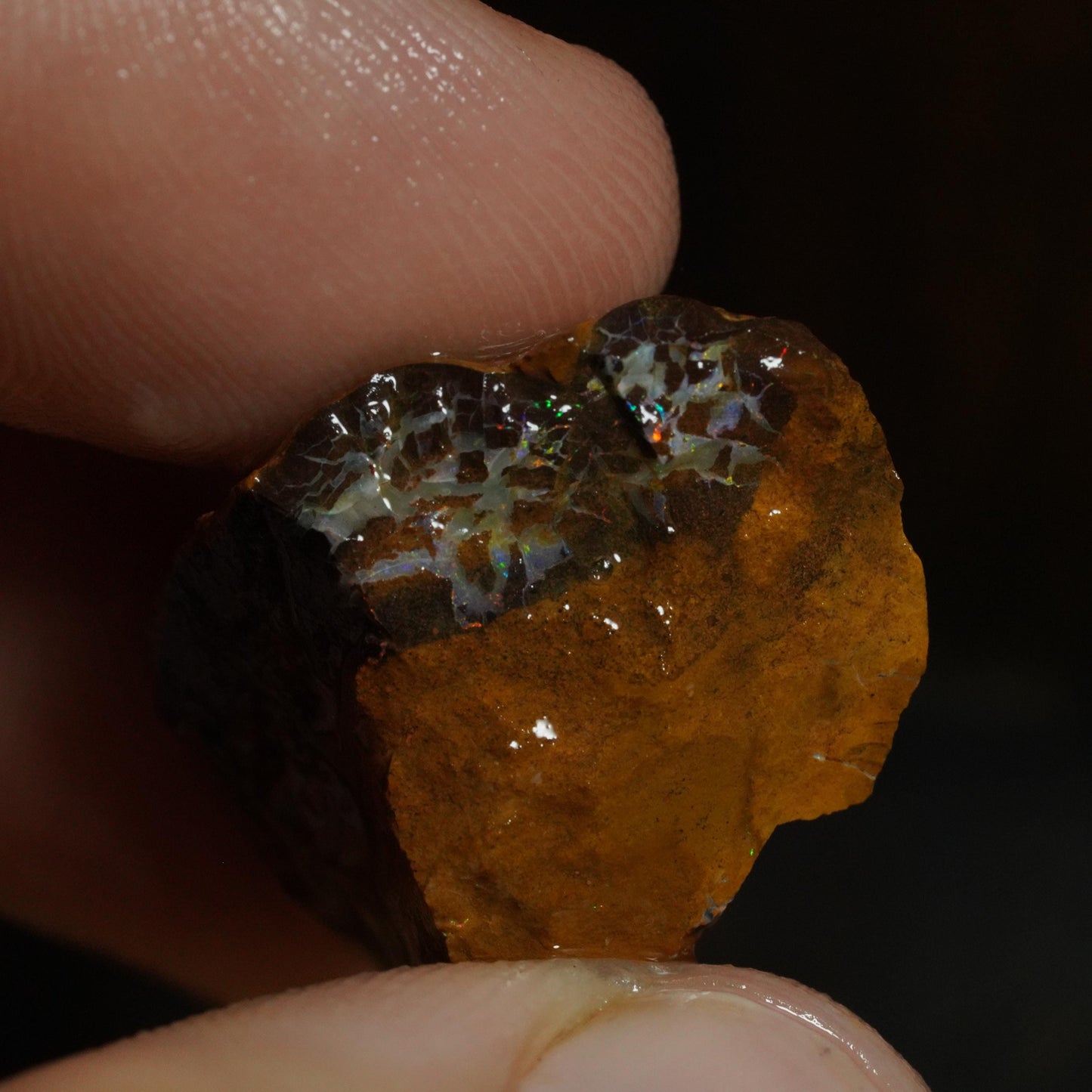 Rough Boulder Opal
