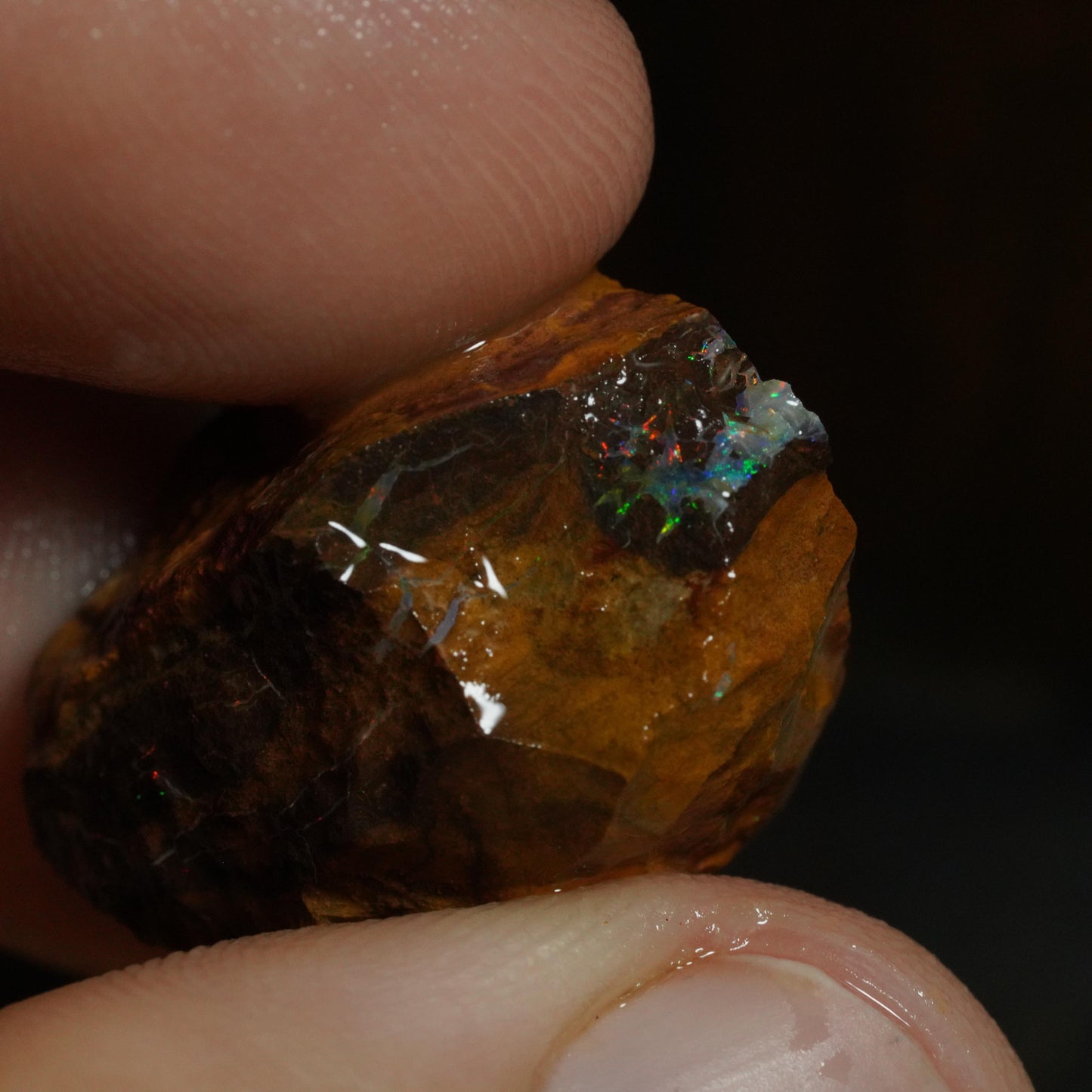 Rough Boulder Opal