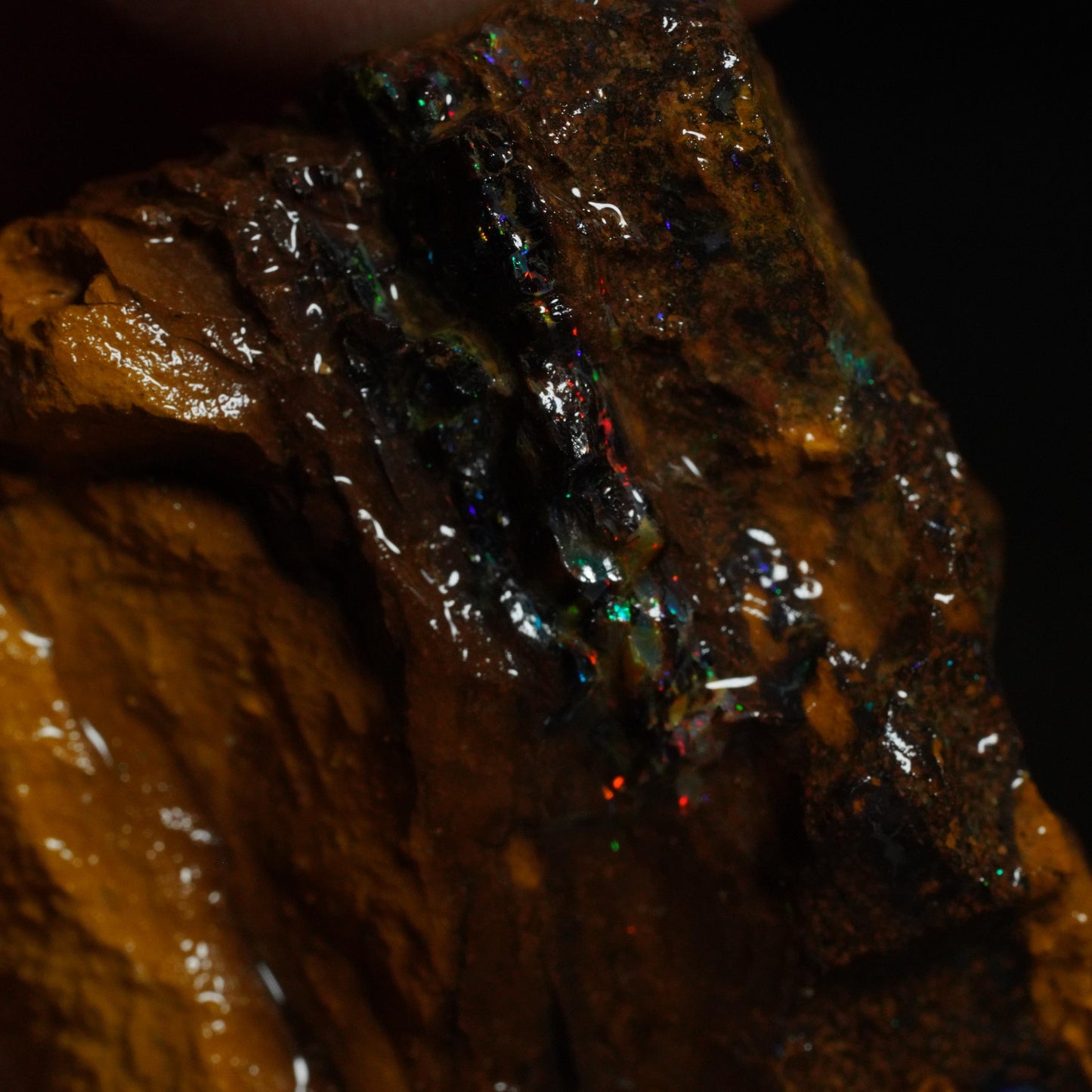 Rough Boulder Opal