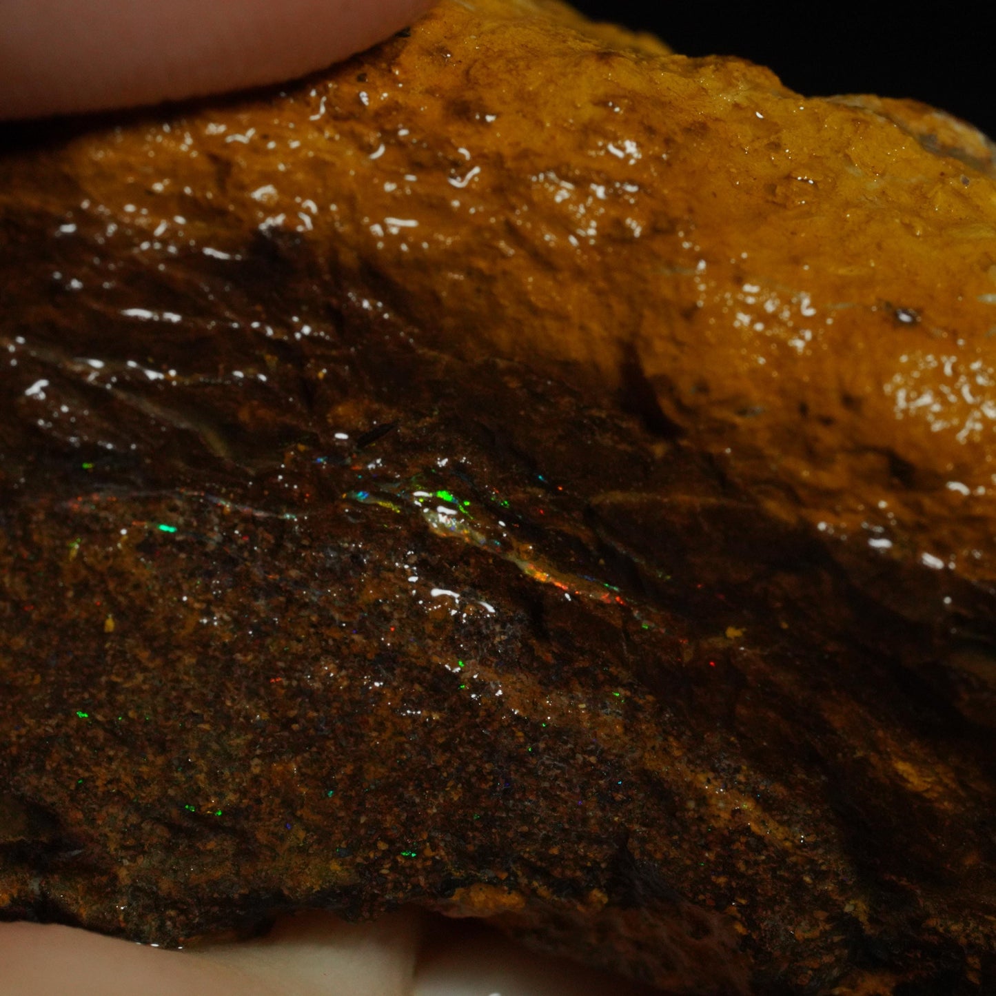 Rough Boulder Opal