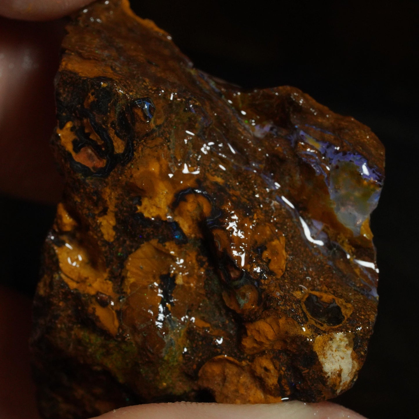 Rough Boulder Opal