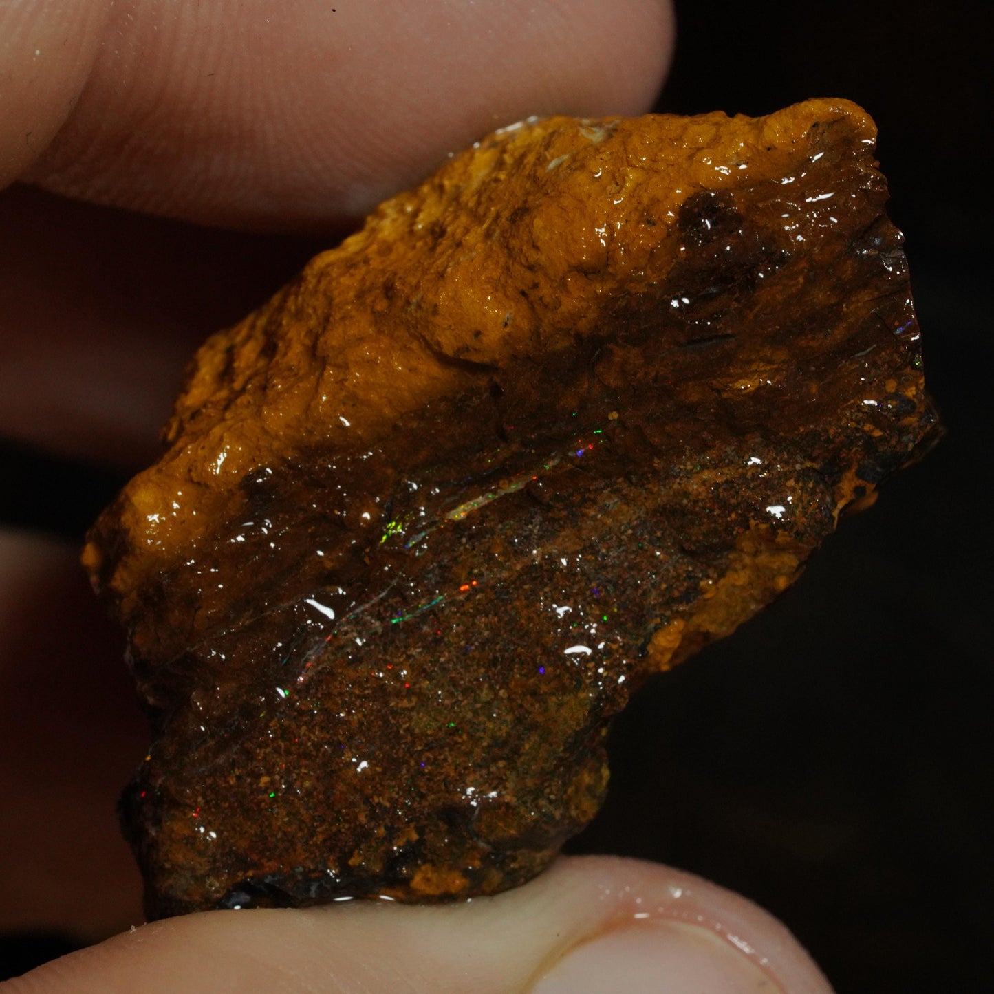 Rough Boulder Opal