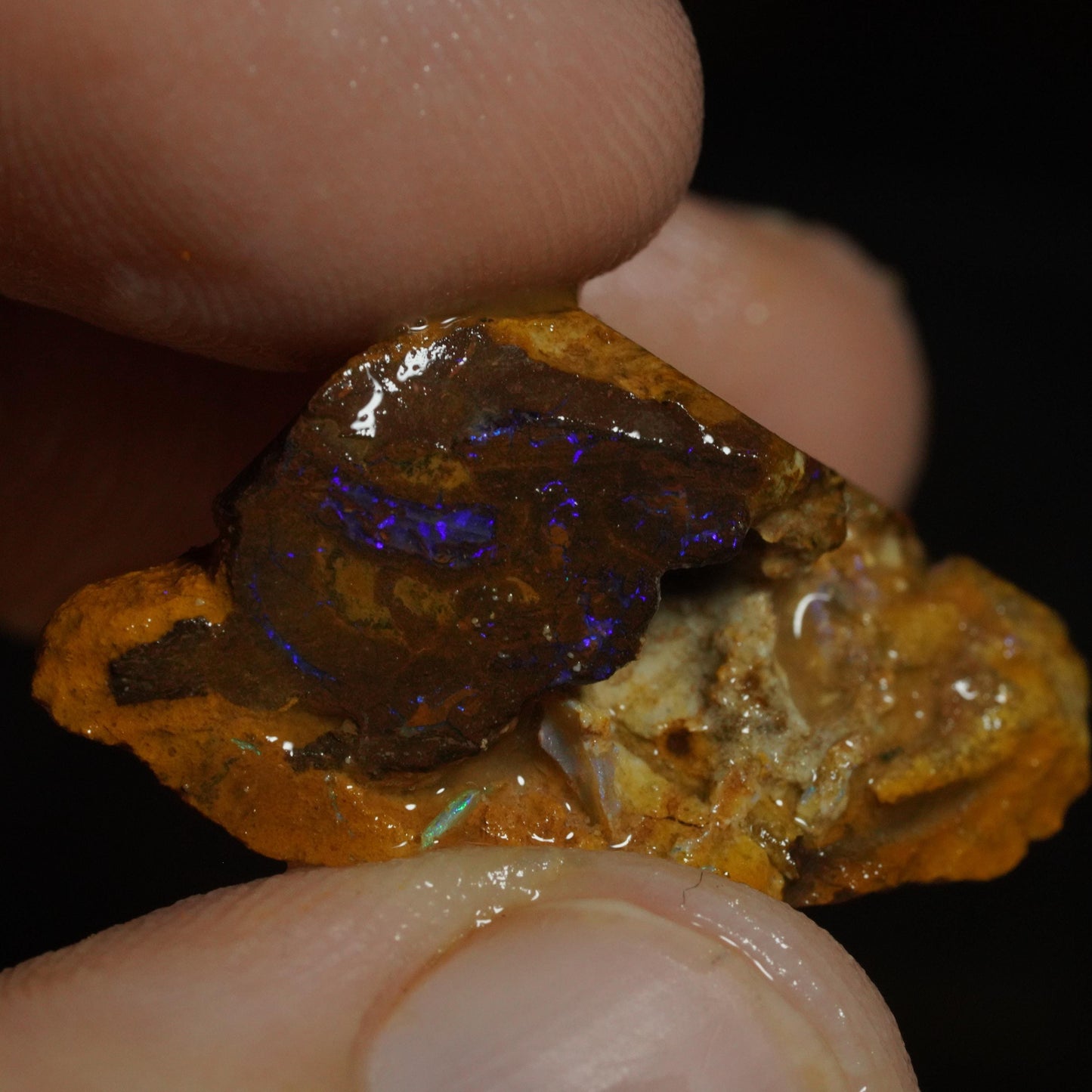 Rough Boulder Opal