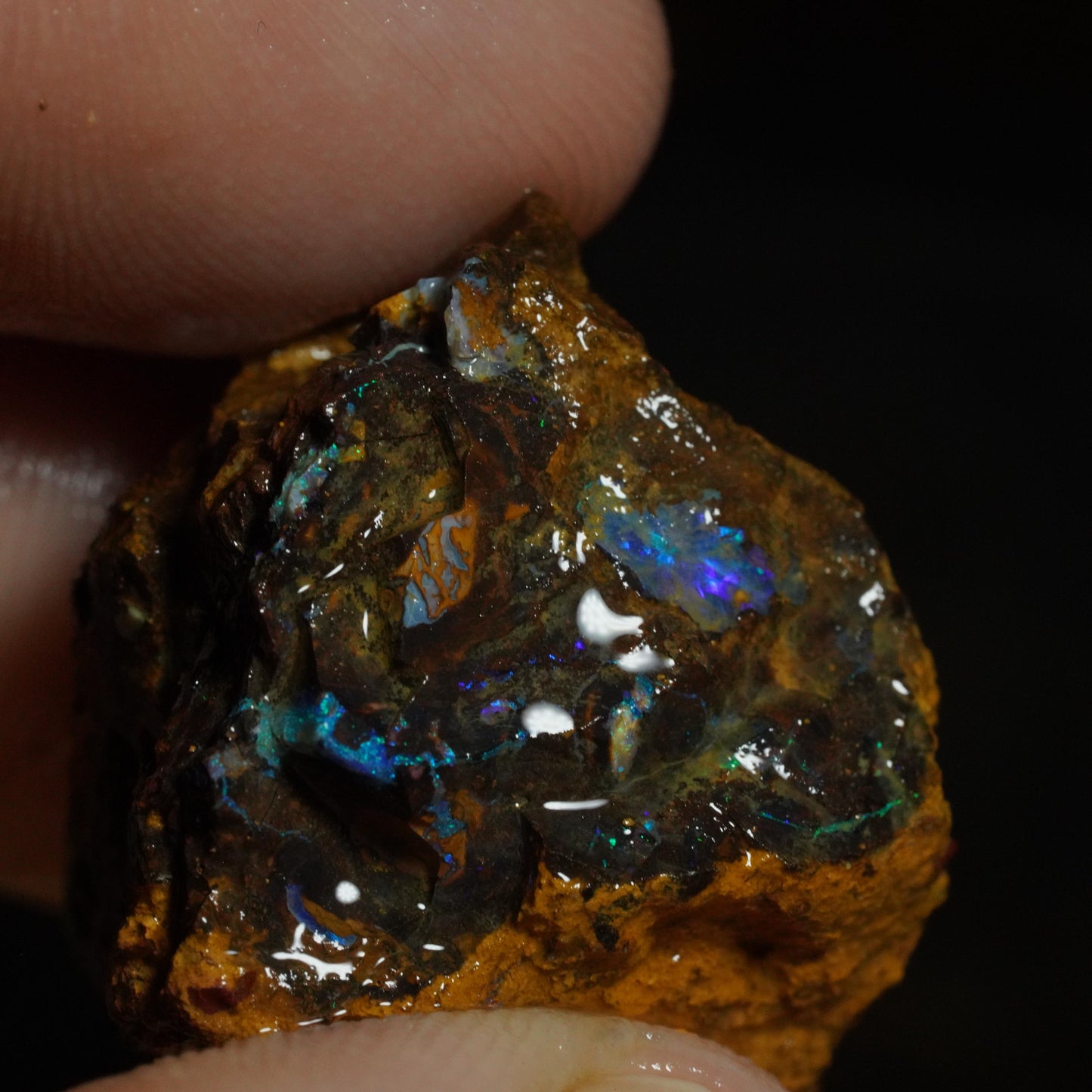 Rough Boulder Opal