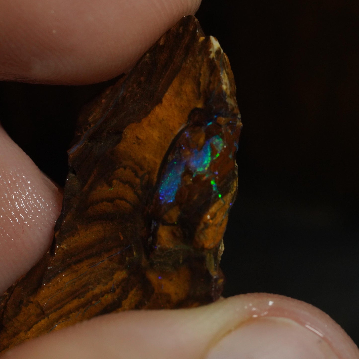 Rough Boulder Opal