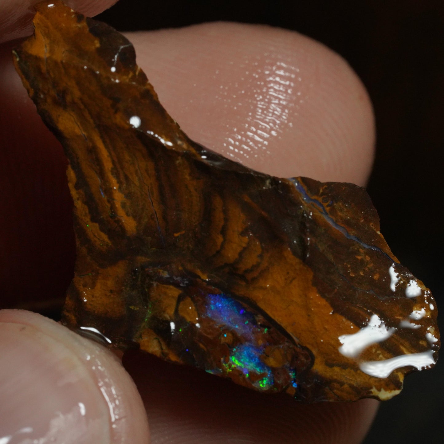 Rough Boulder Opal