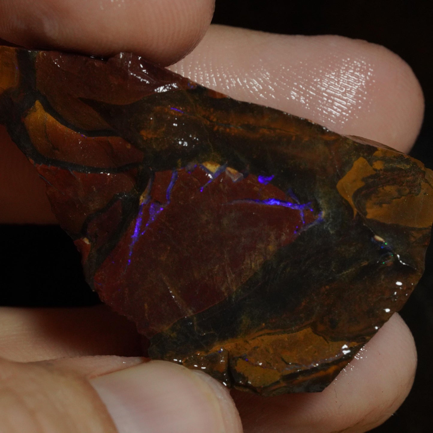 Rough Boulder Opal
