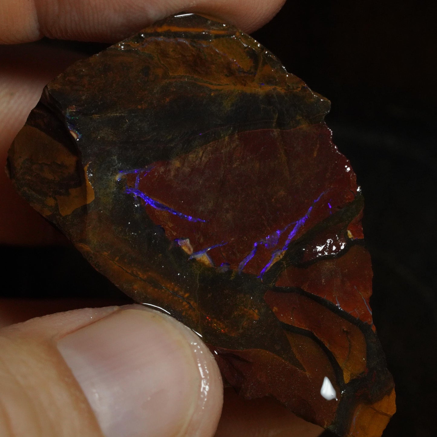 Rough Boulder Opal