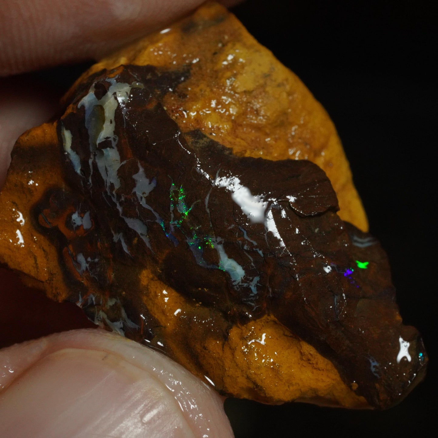 Rough Boulder Opal