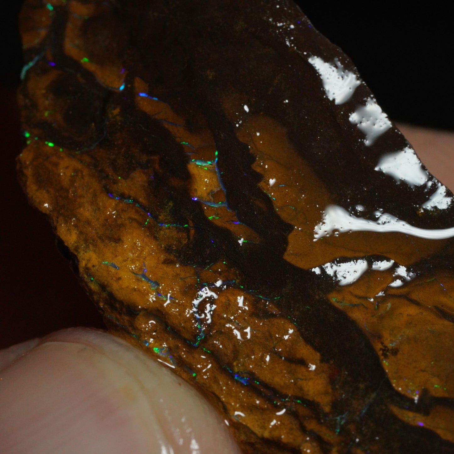 Rough Boulder Opal