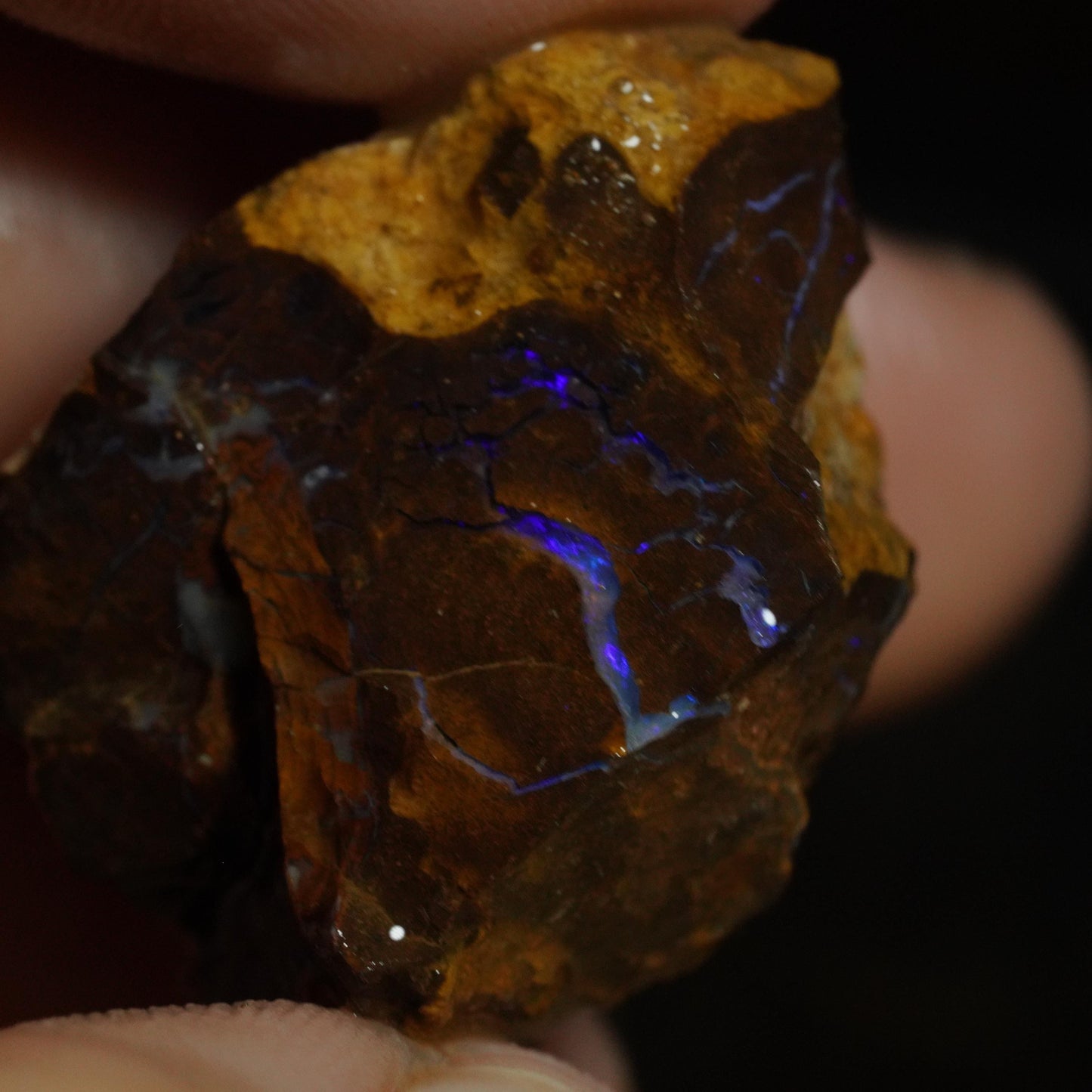 Rough Boulder Opal