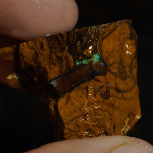 Rough Boulder Opal