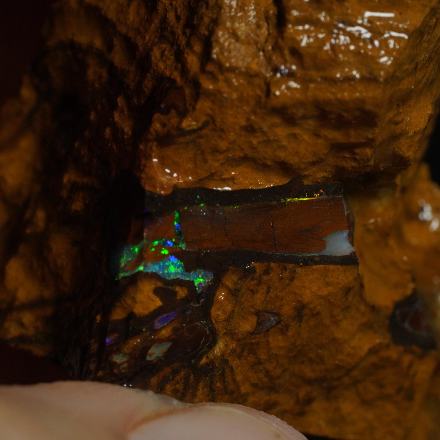 Rough Boulder Opal