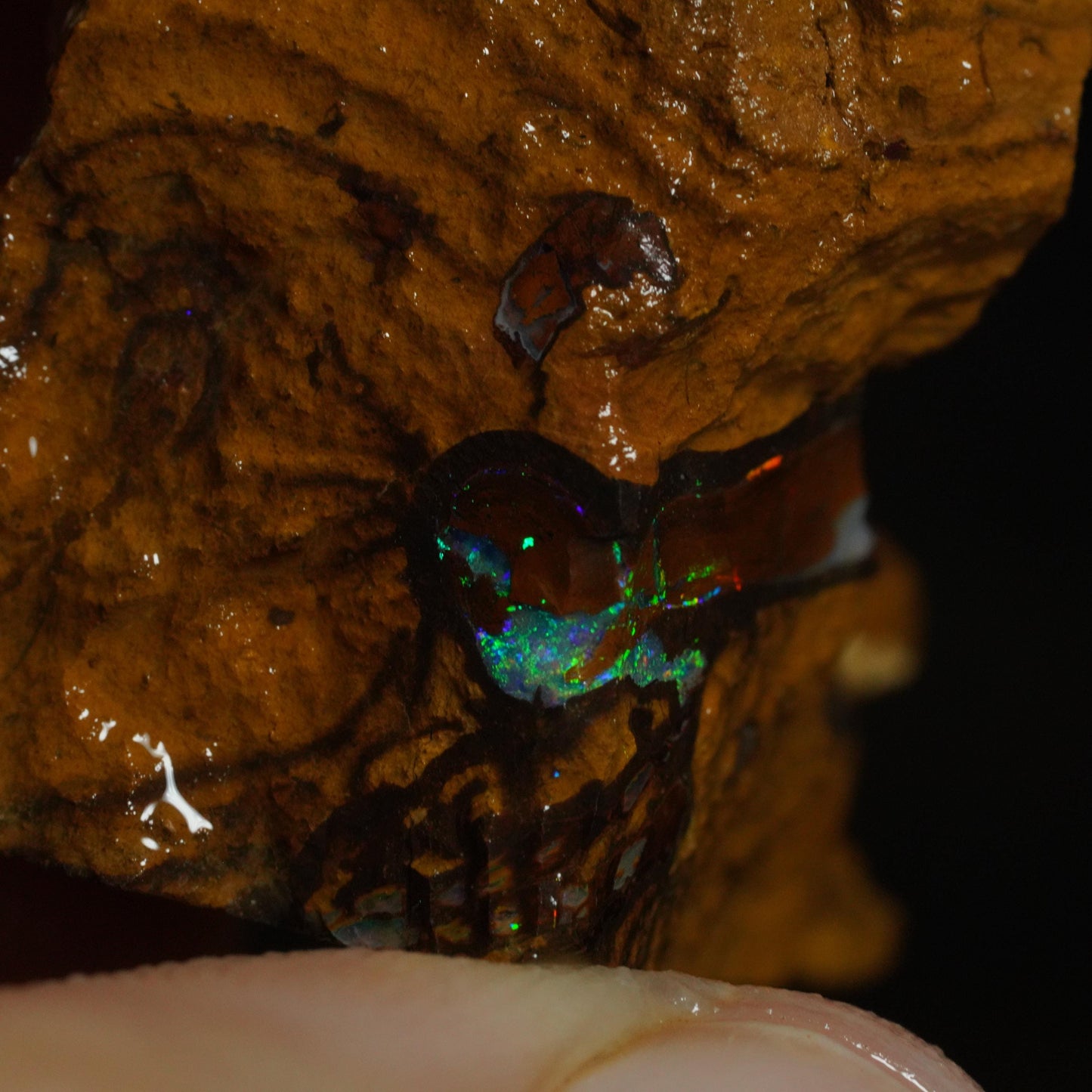 Rough Boulder Opal