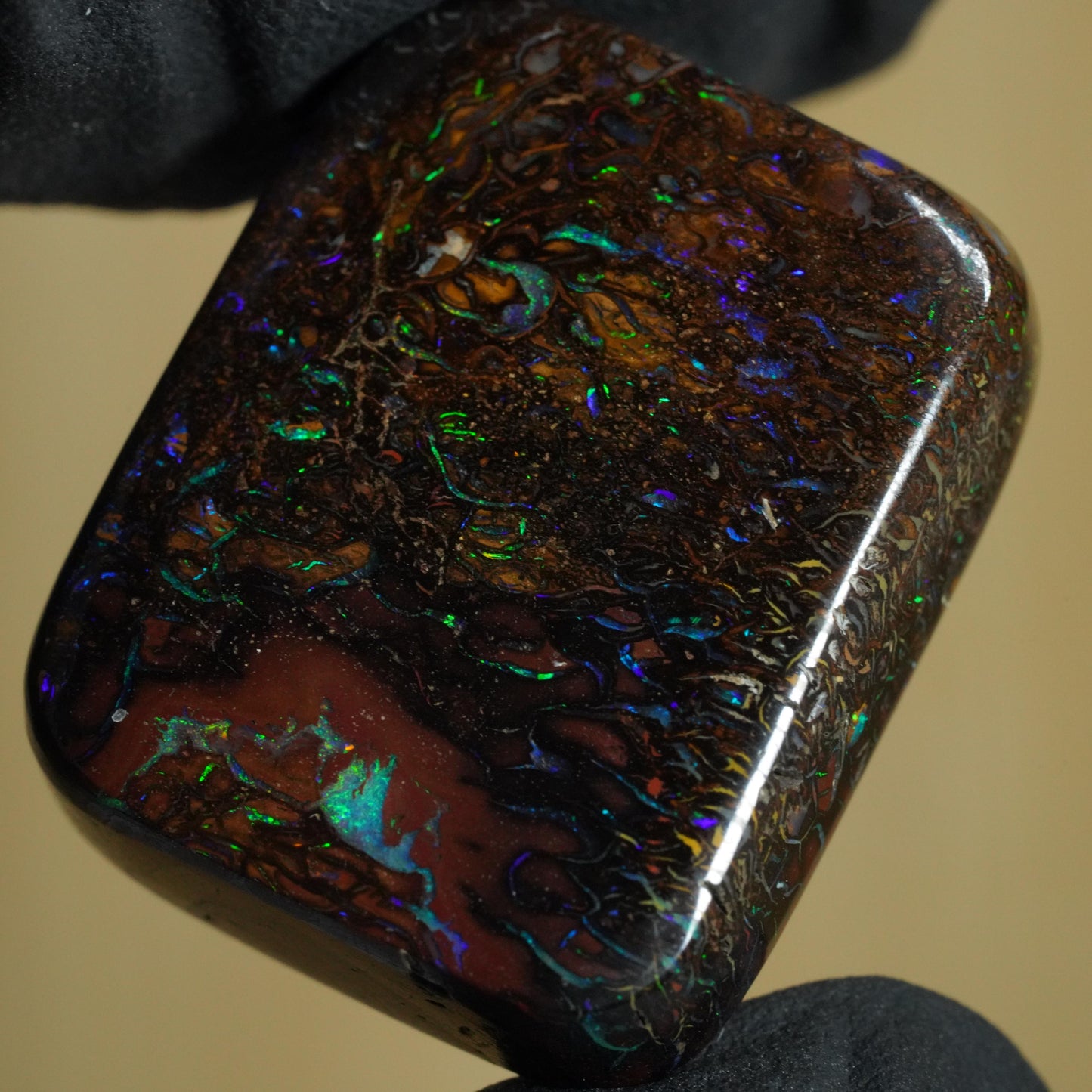 Boulder Opal Cut Stone