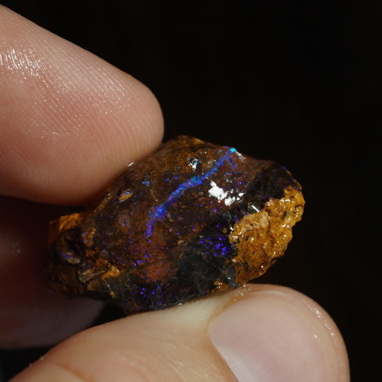 Rough Boulder Opal