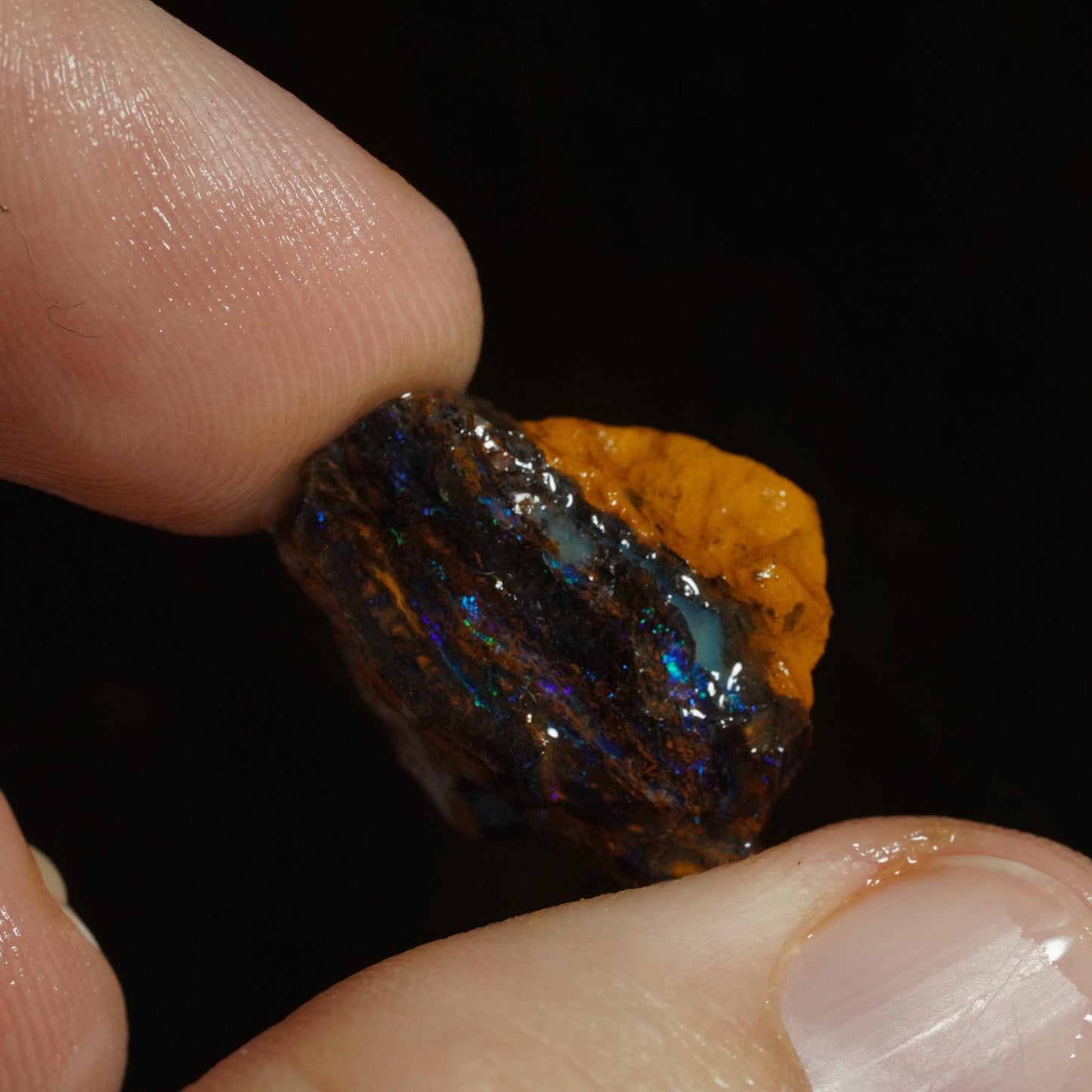 Rough Boulder Opal