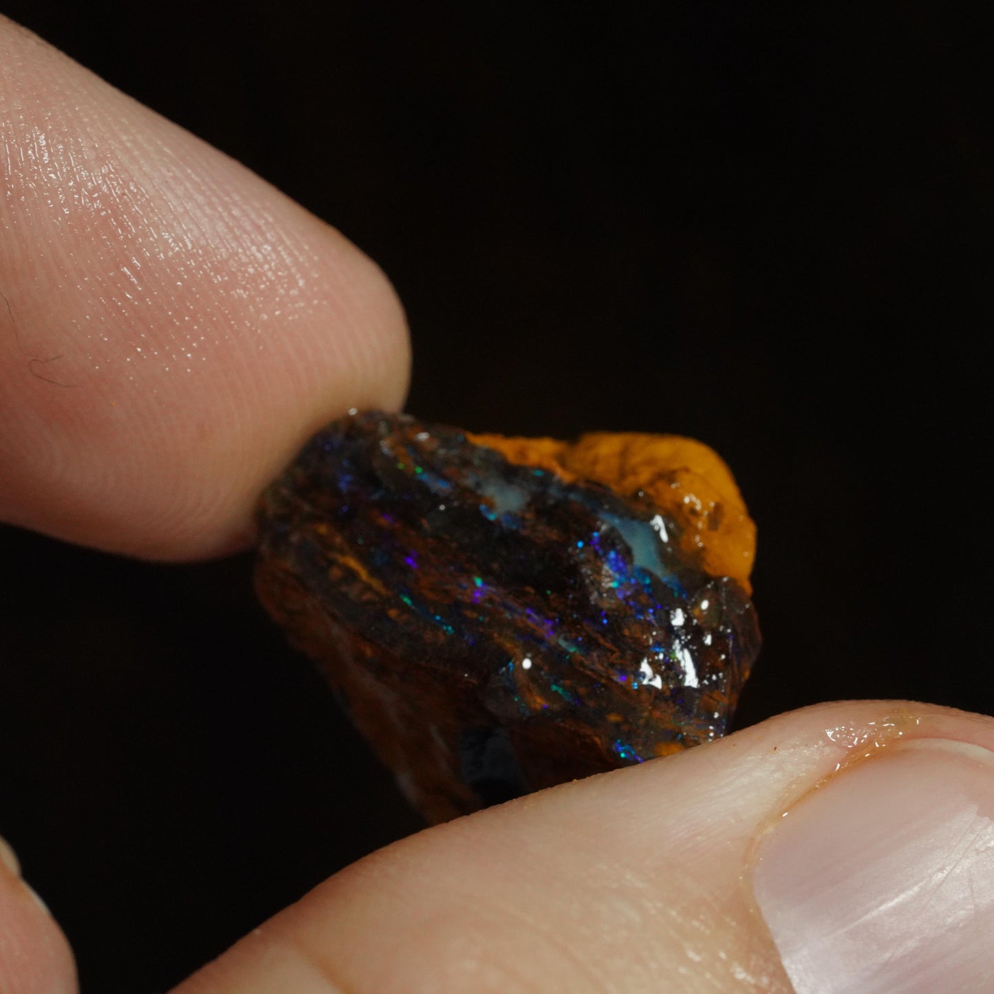 Rough Boulder Opal
