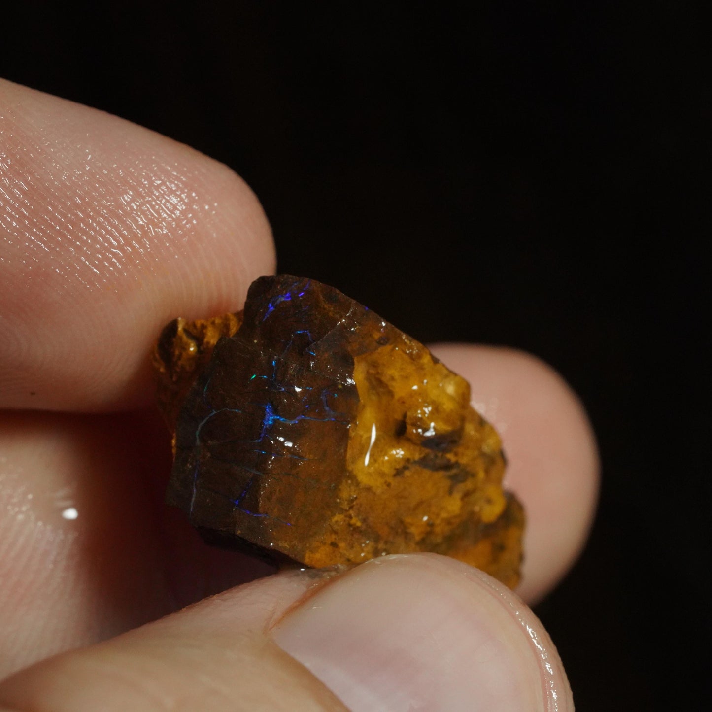 Rough Boulder Opal