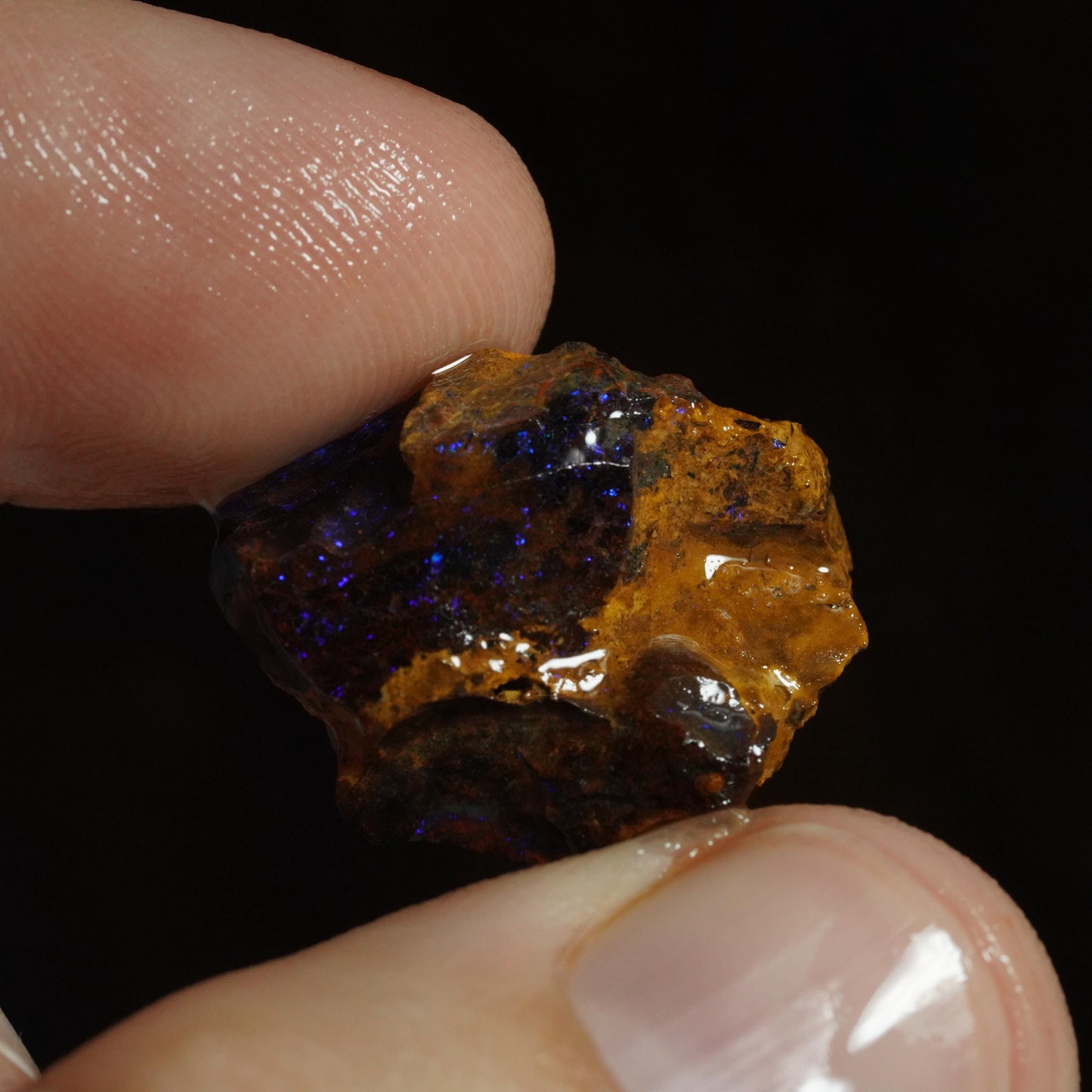 Rough Boulder Opal