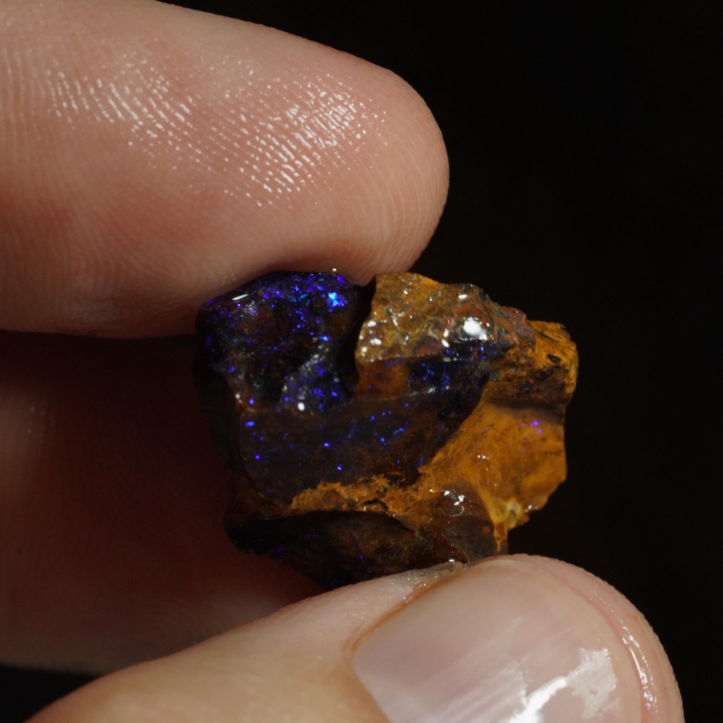 Rough Boulder Opal