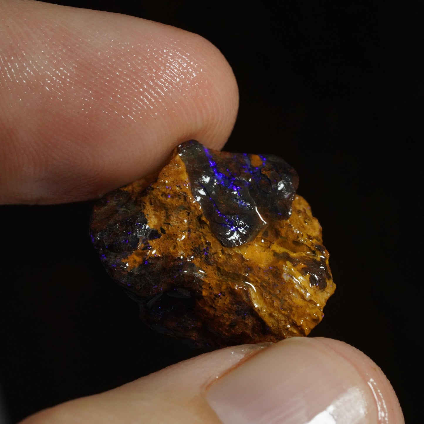 Rough Boulder Opal