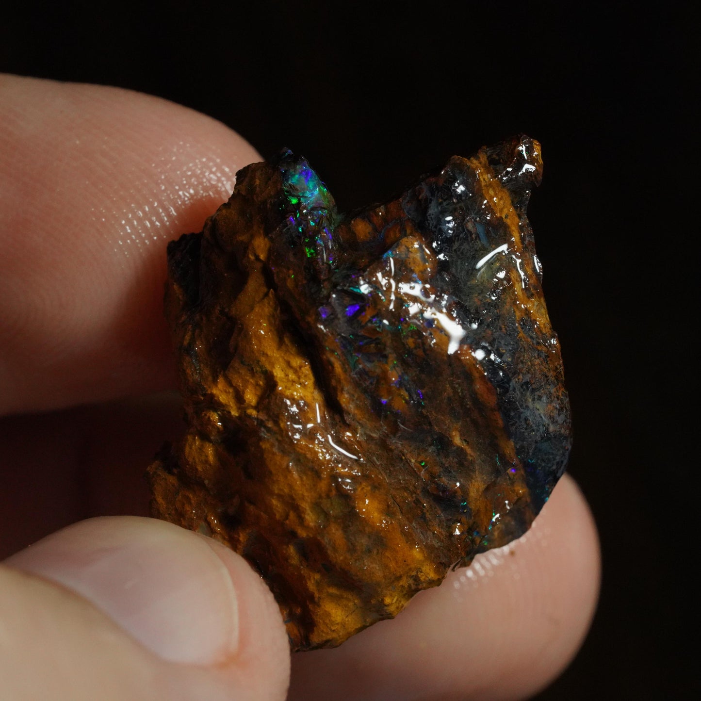 Rough Boulder Opal