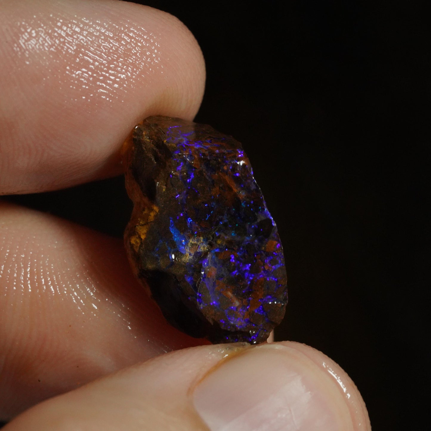 Rough Boulder Opal