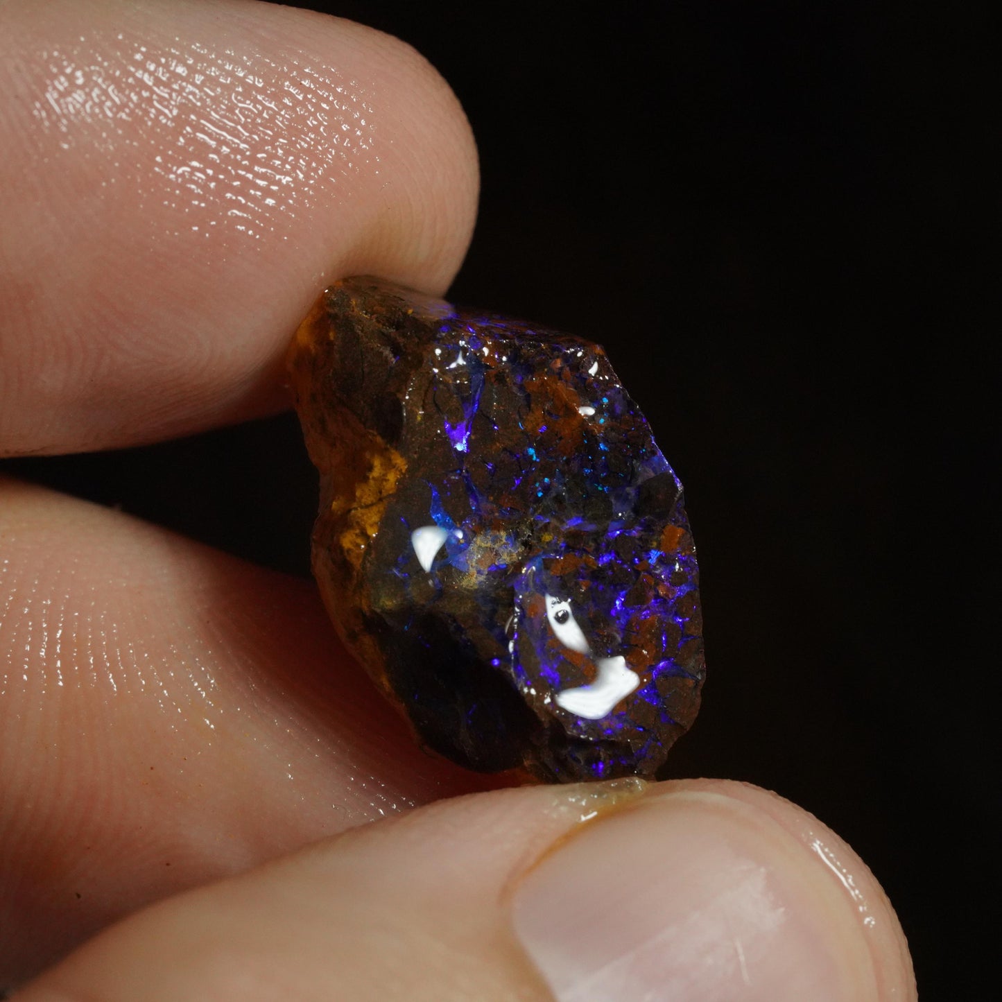 Rough Boulder Opal
