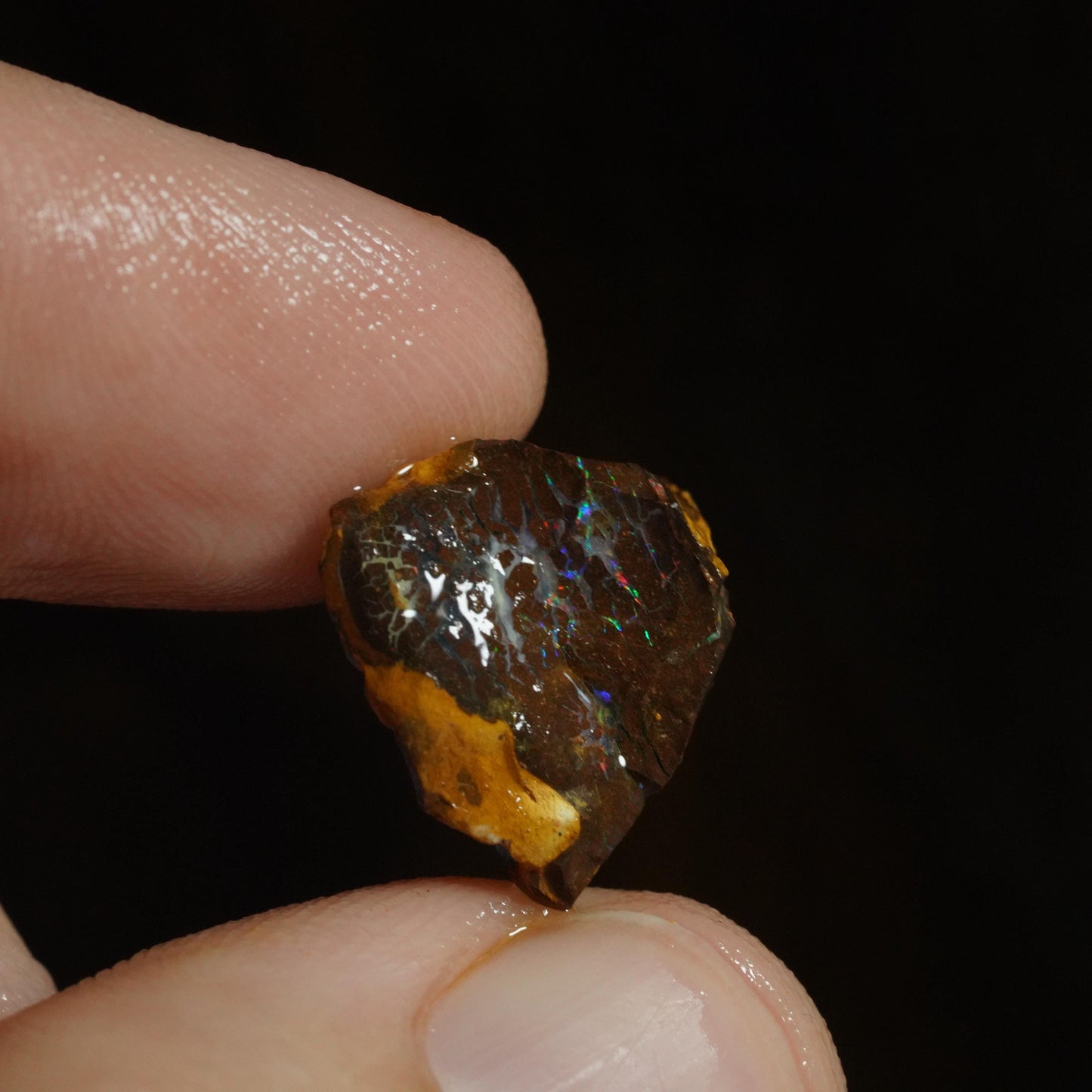 Rough Boulder Opal