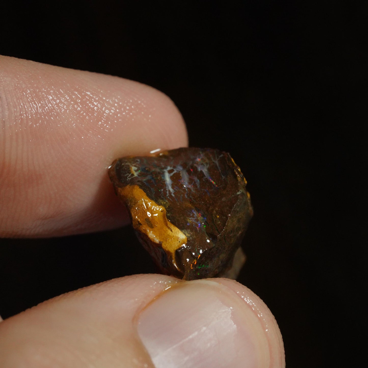 Rough Boulder Opal