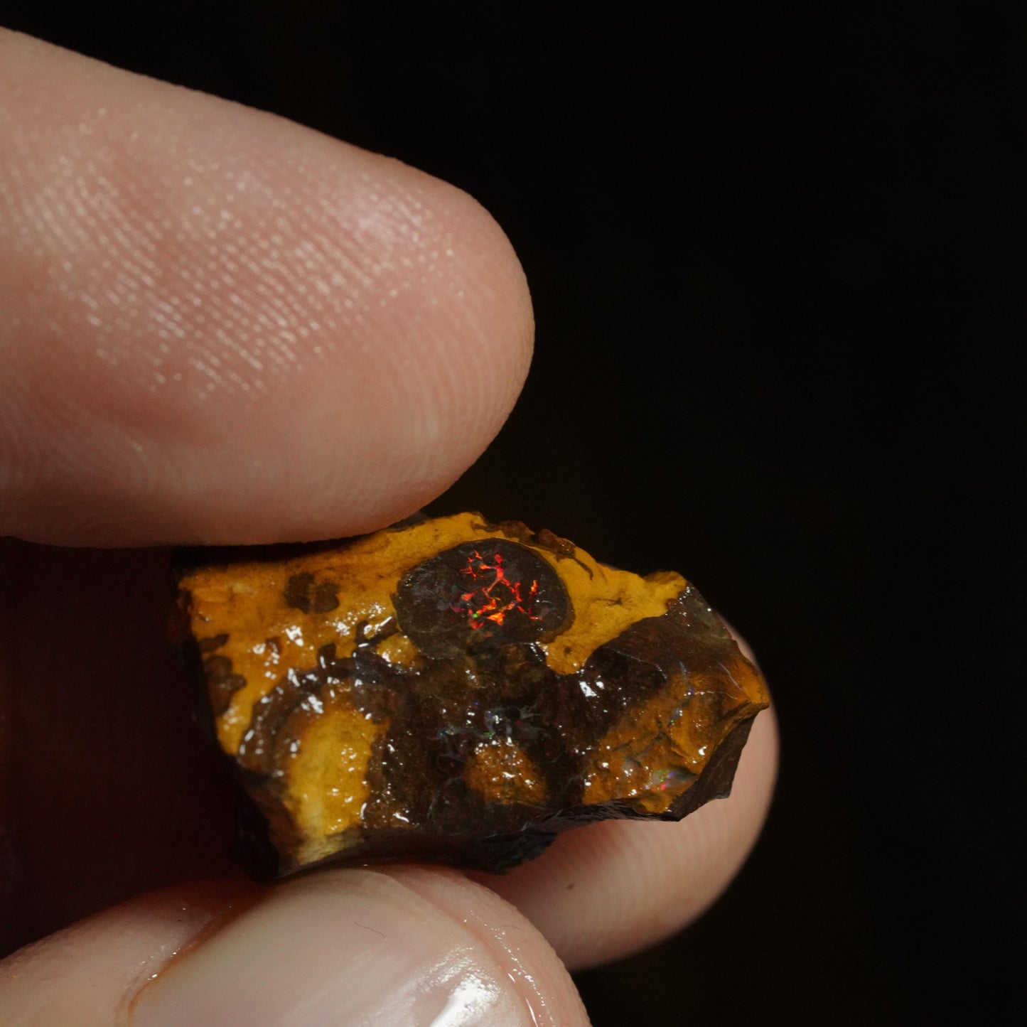 Rough Boulder Opal