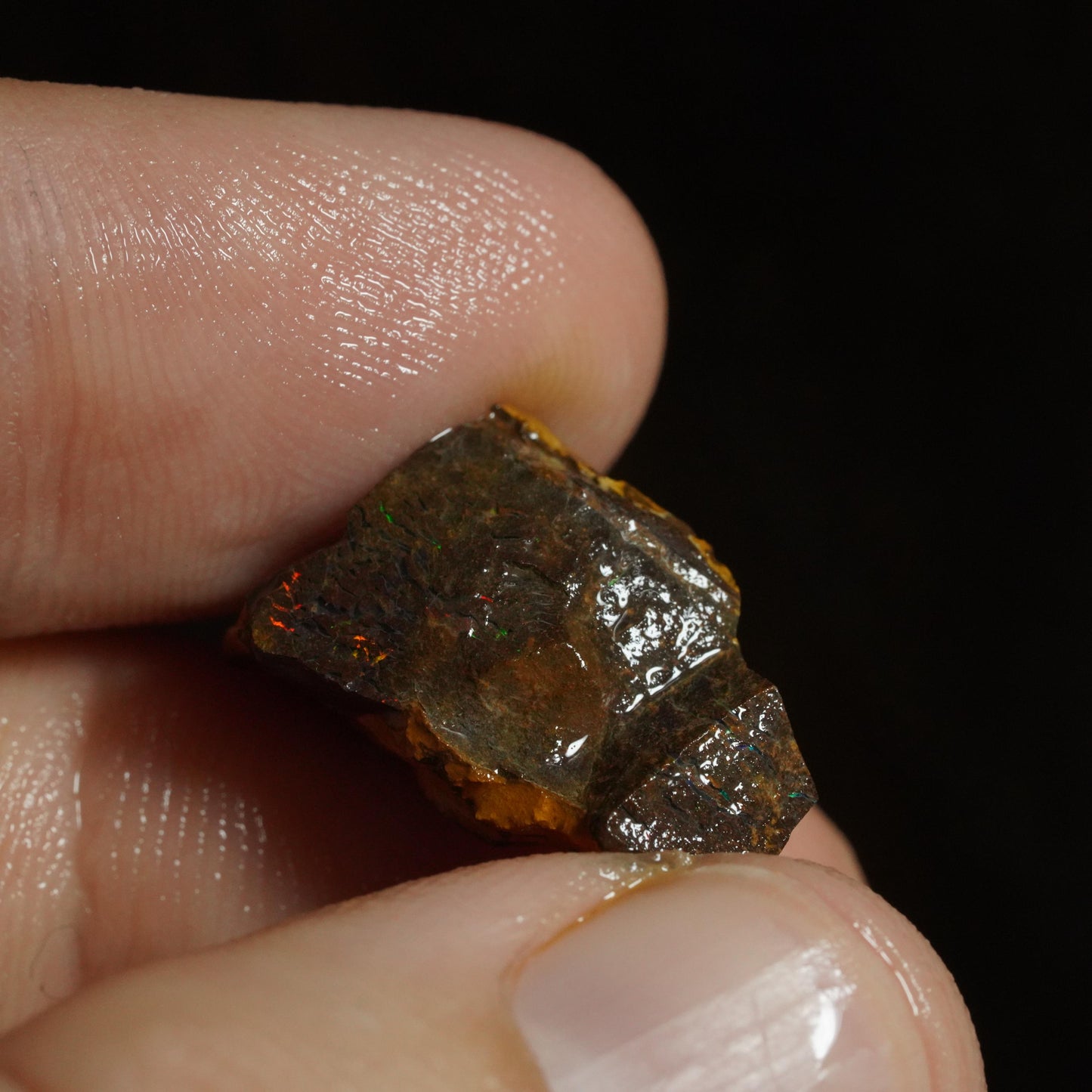 Rough Boulder Opal