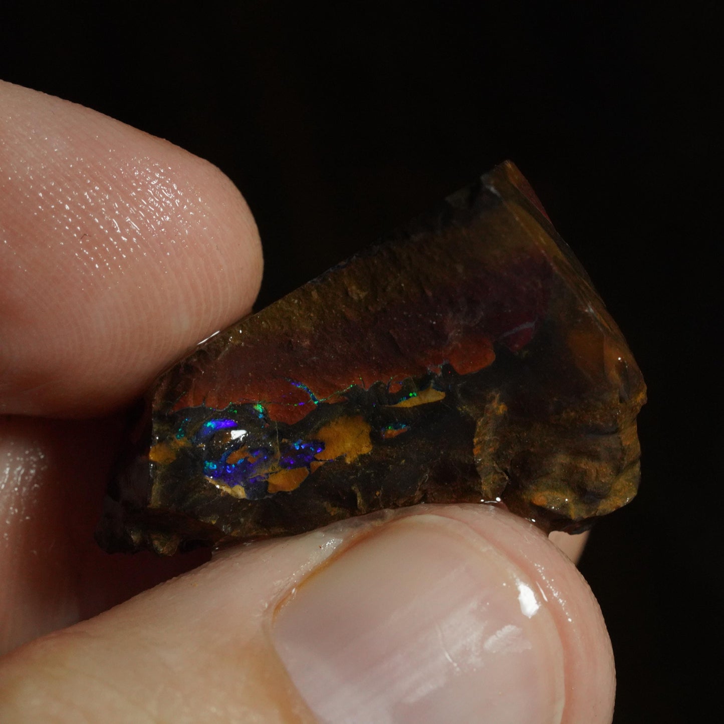 Rough Boulder Opal