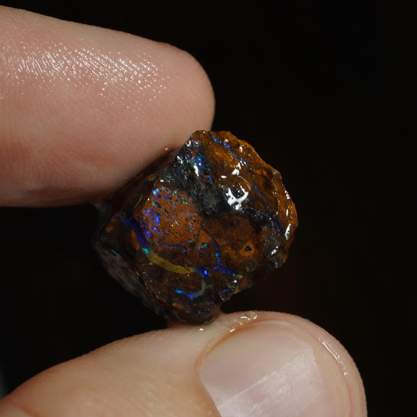 Rough Boulder Opal