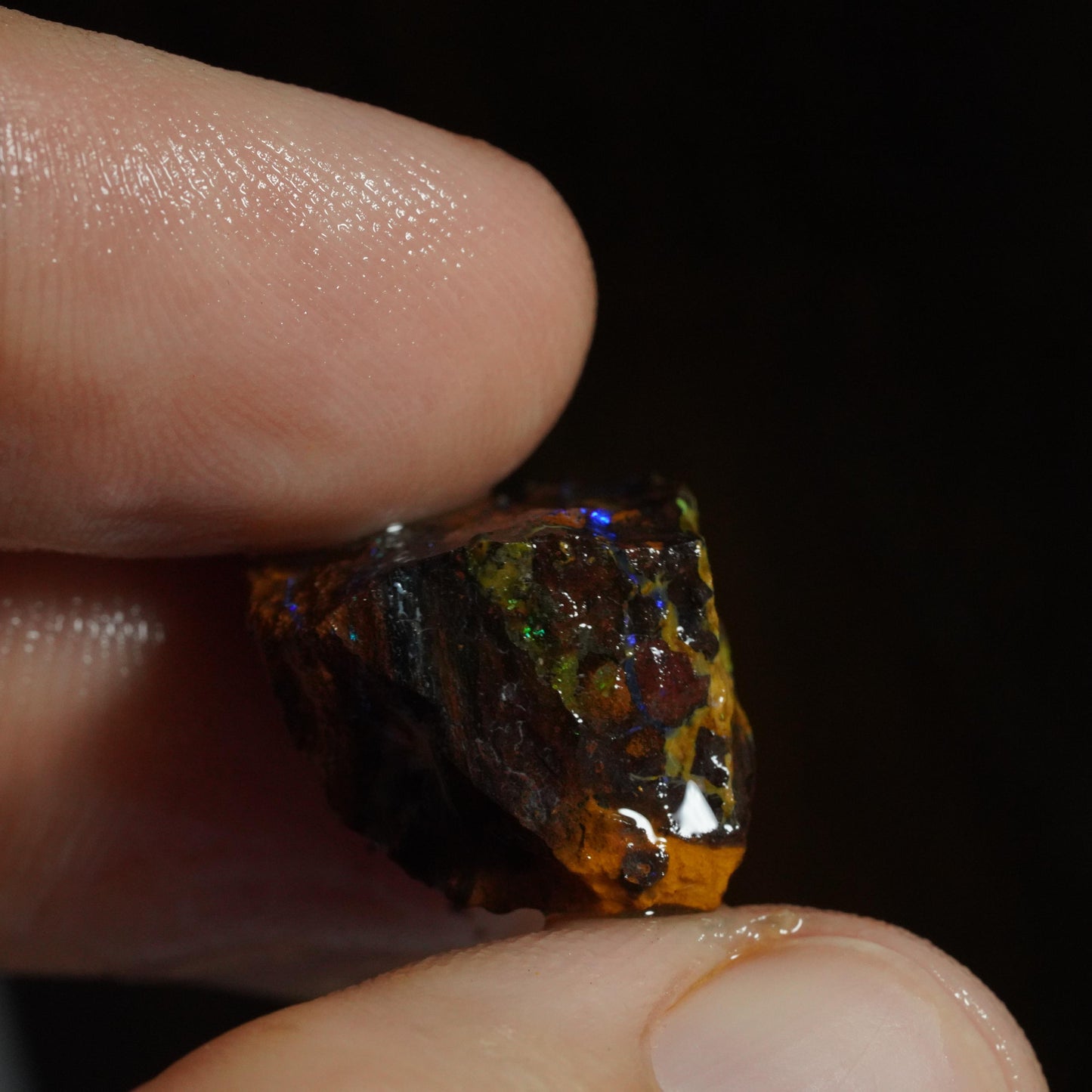 Rough Boulder Opal