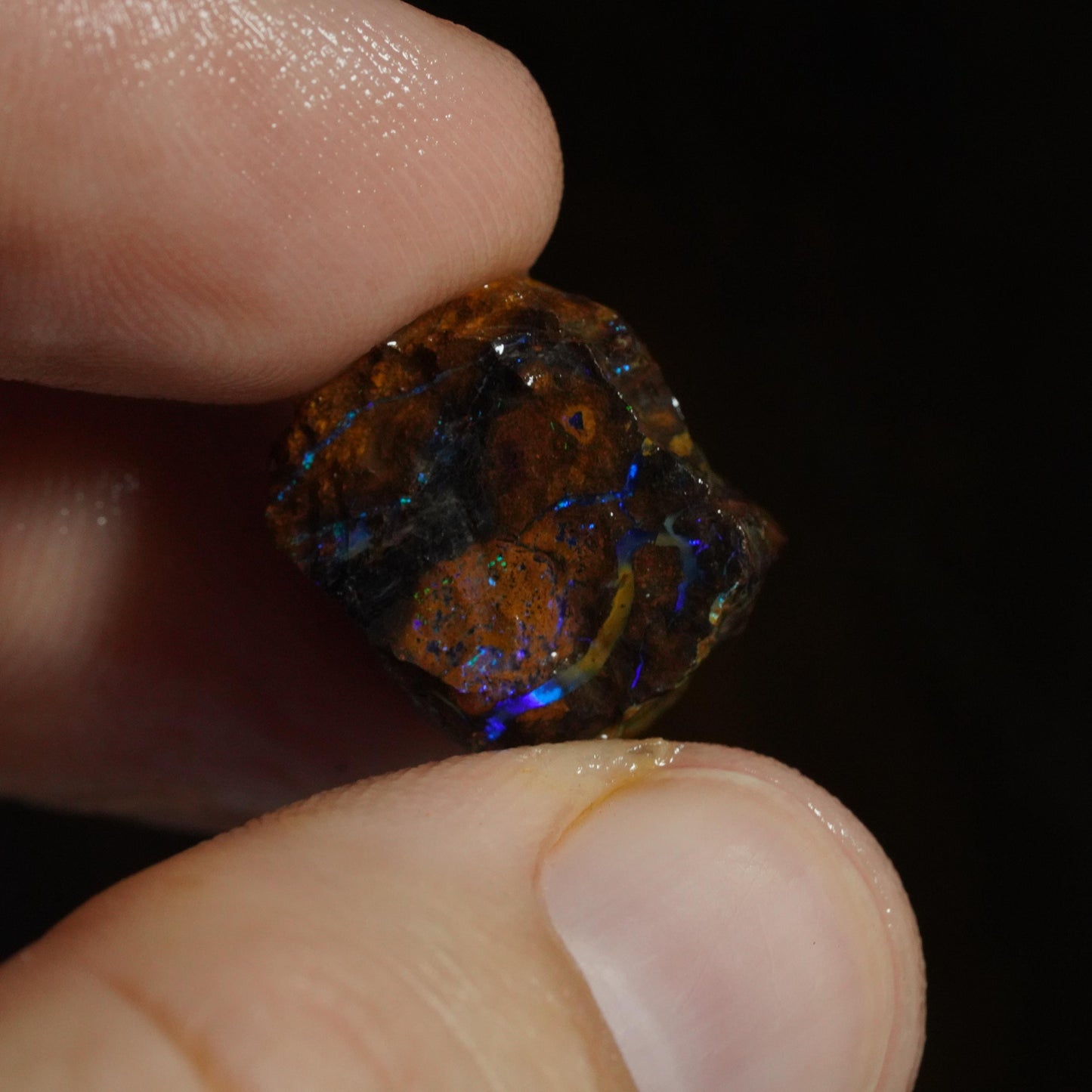Rough Boulder Opal