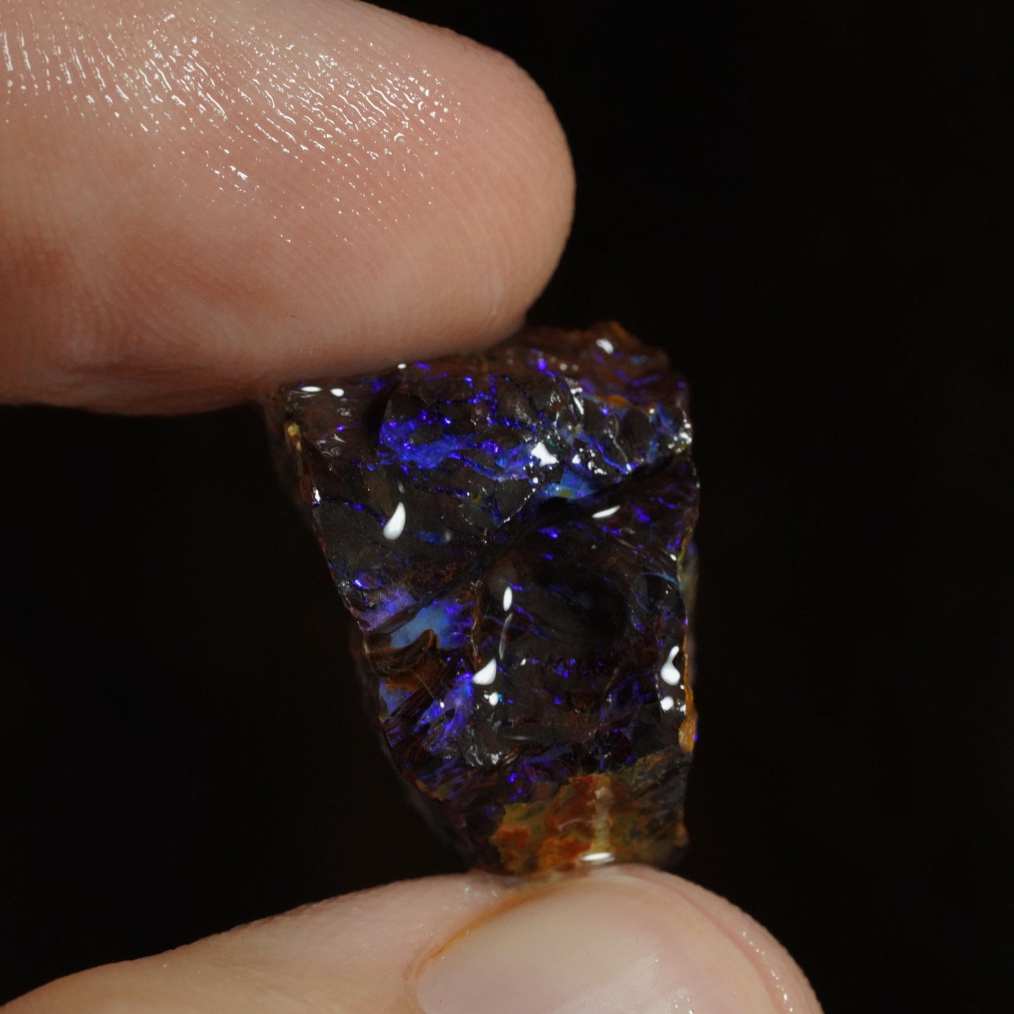 Rough Boulder Opal