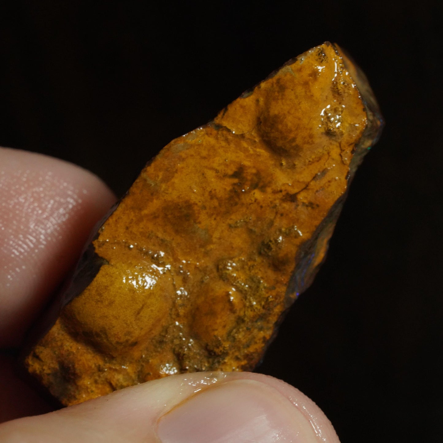 Rough Boulder Opal