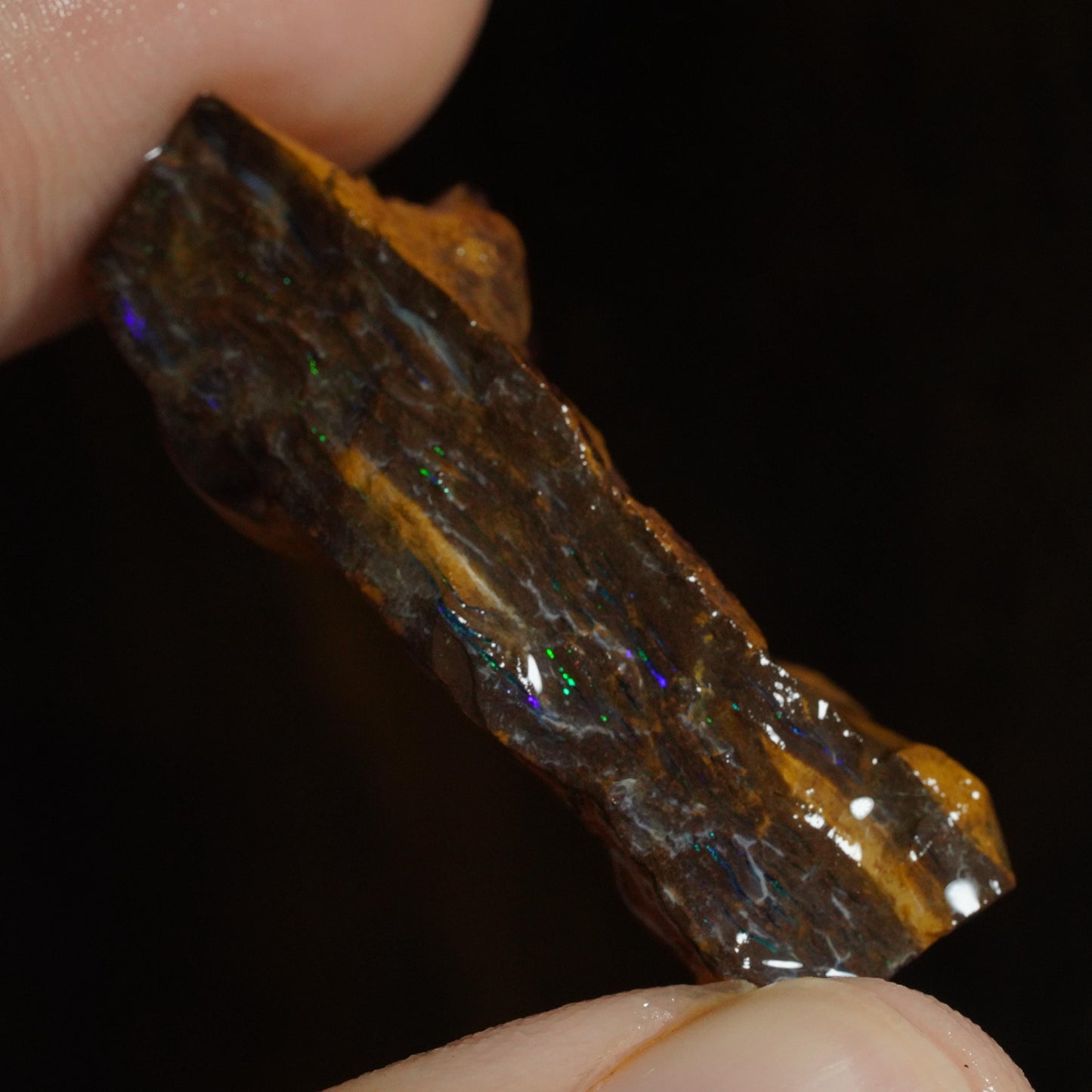 Rough Boulder Opal