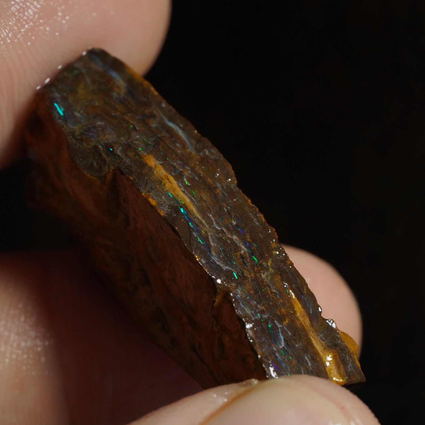Rough Boulder Opal